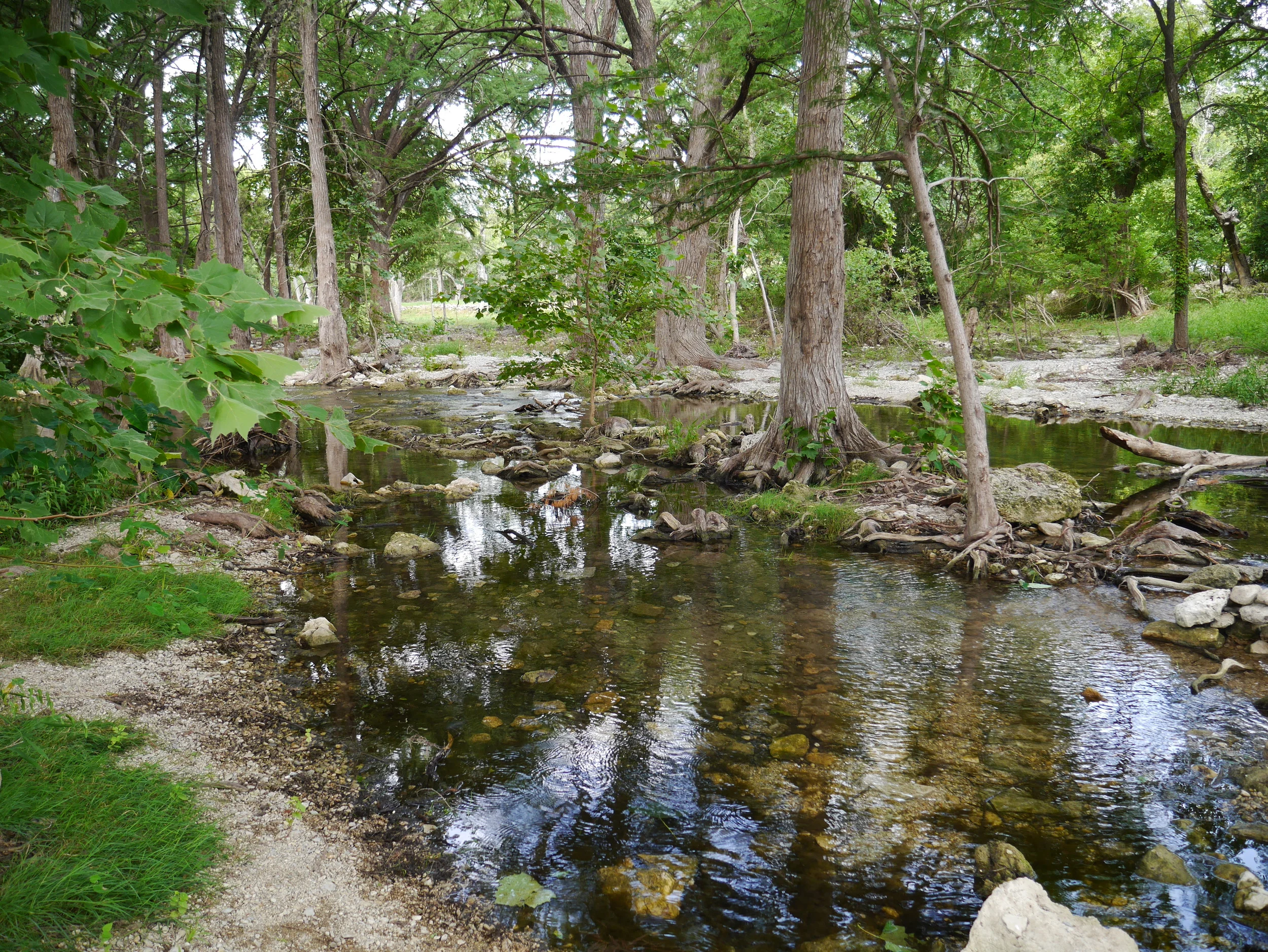 Beautiful creek 