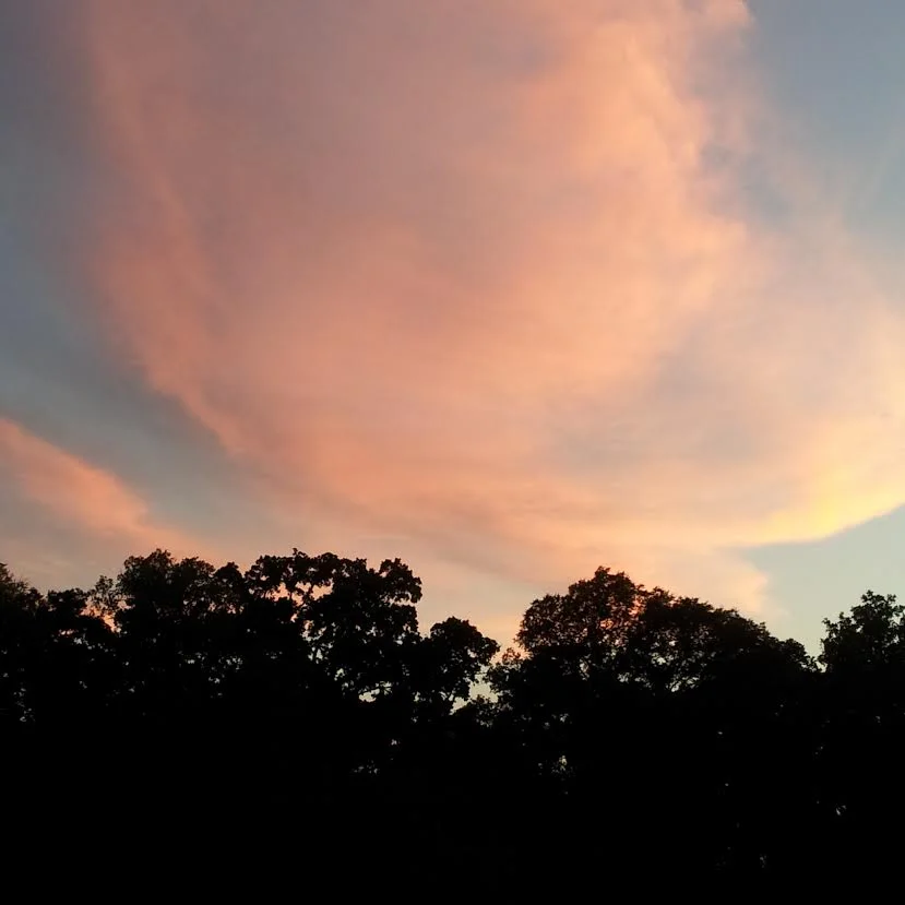 Backyard sunsets 