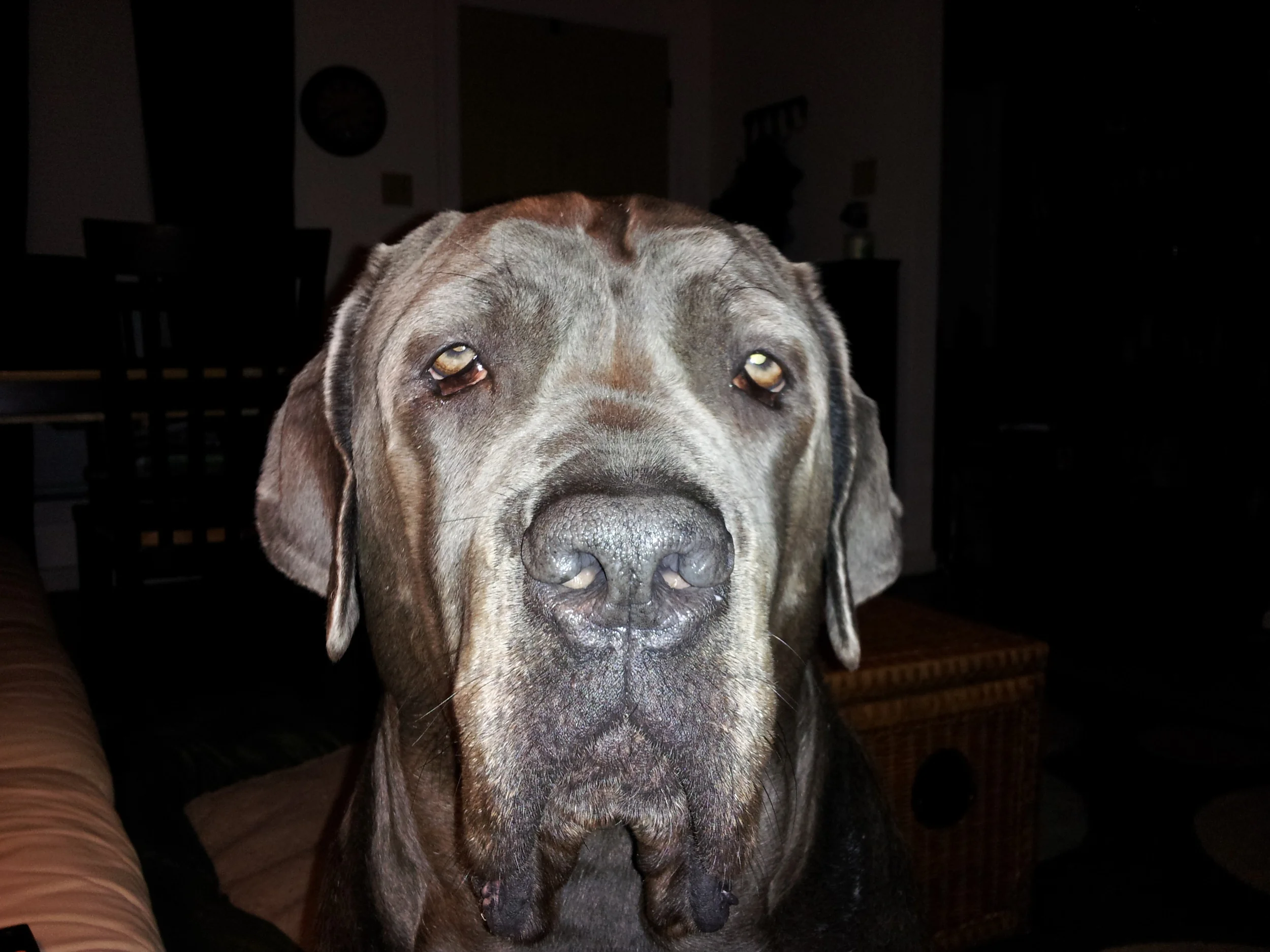 That face...