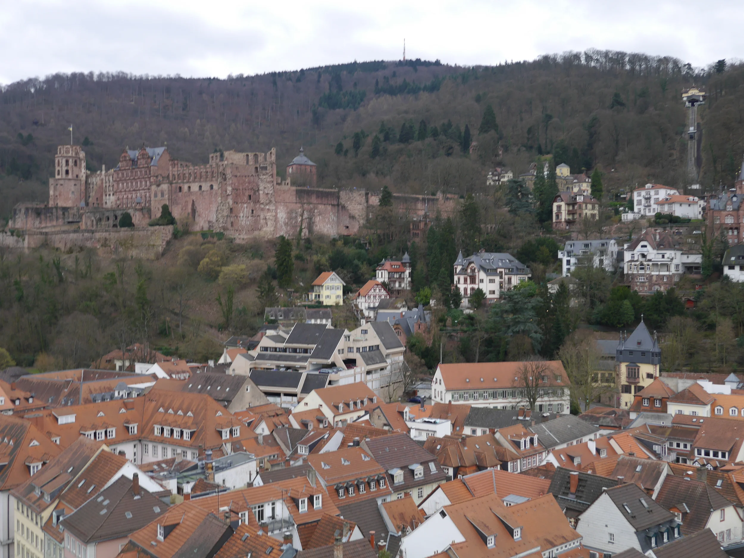 Heidelberg Museums, Churches, and DJs
