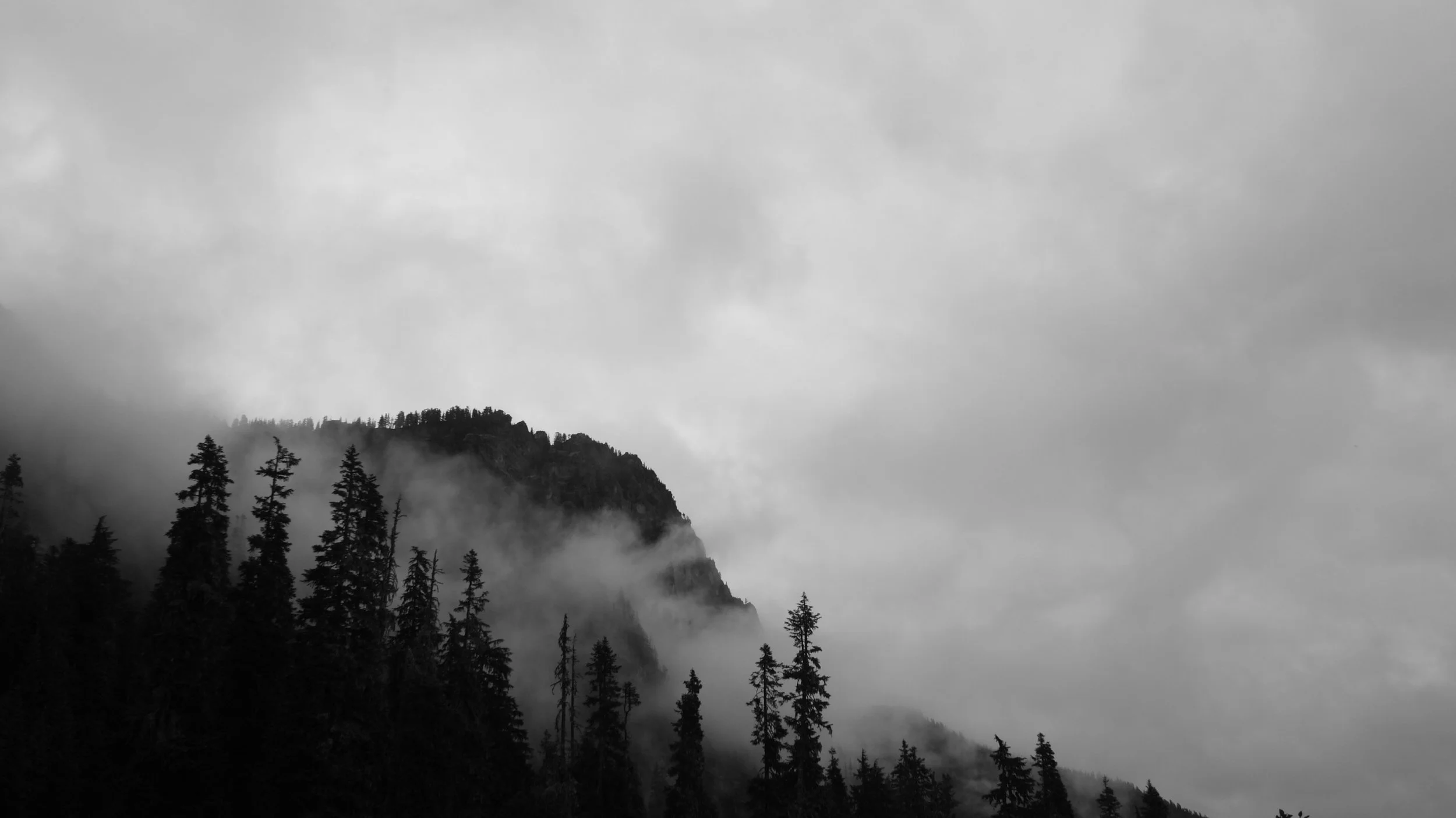 DSC00704.jpg