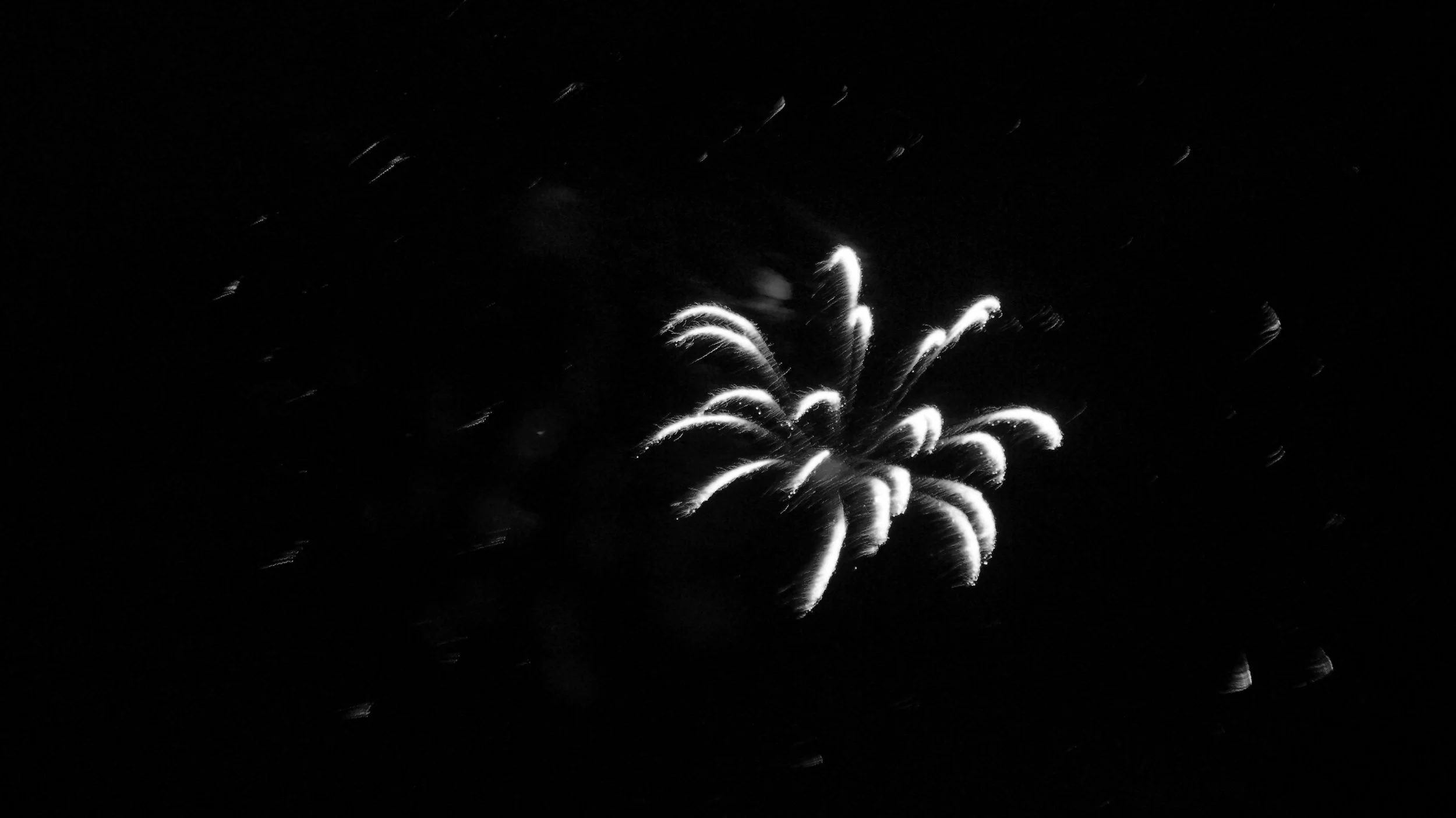 DSC09096.jpg