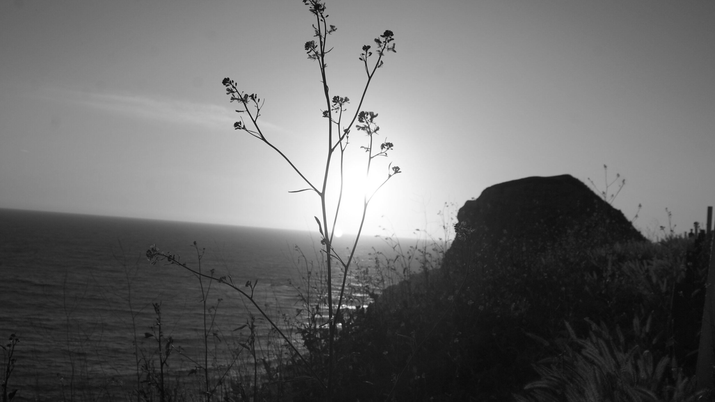 DSC02081.JPG