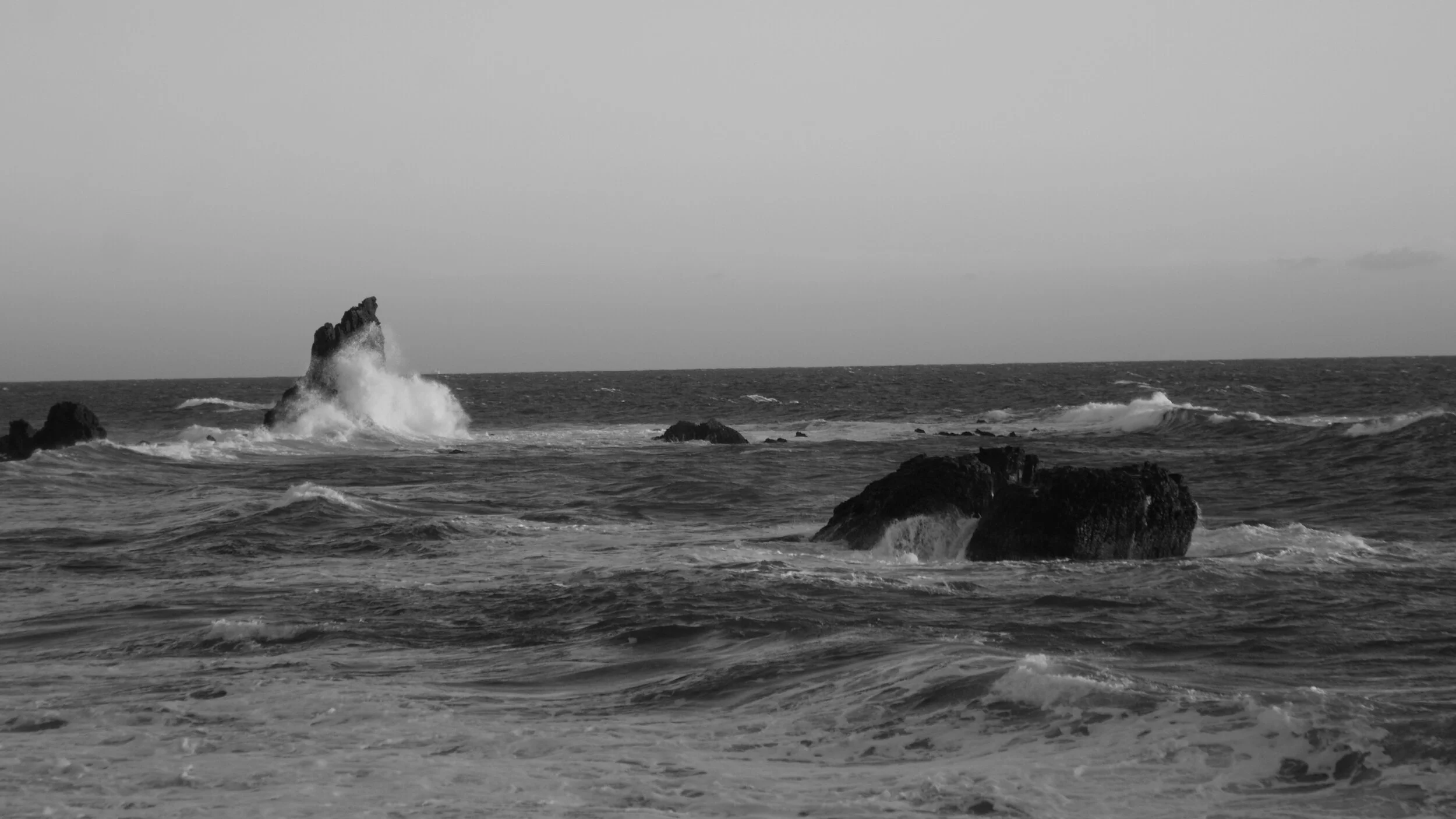 DSC02089.JPG