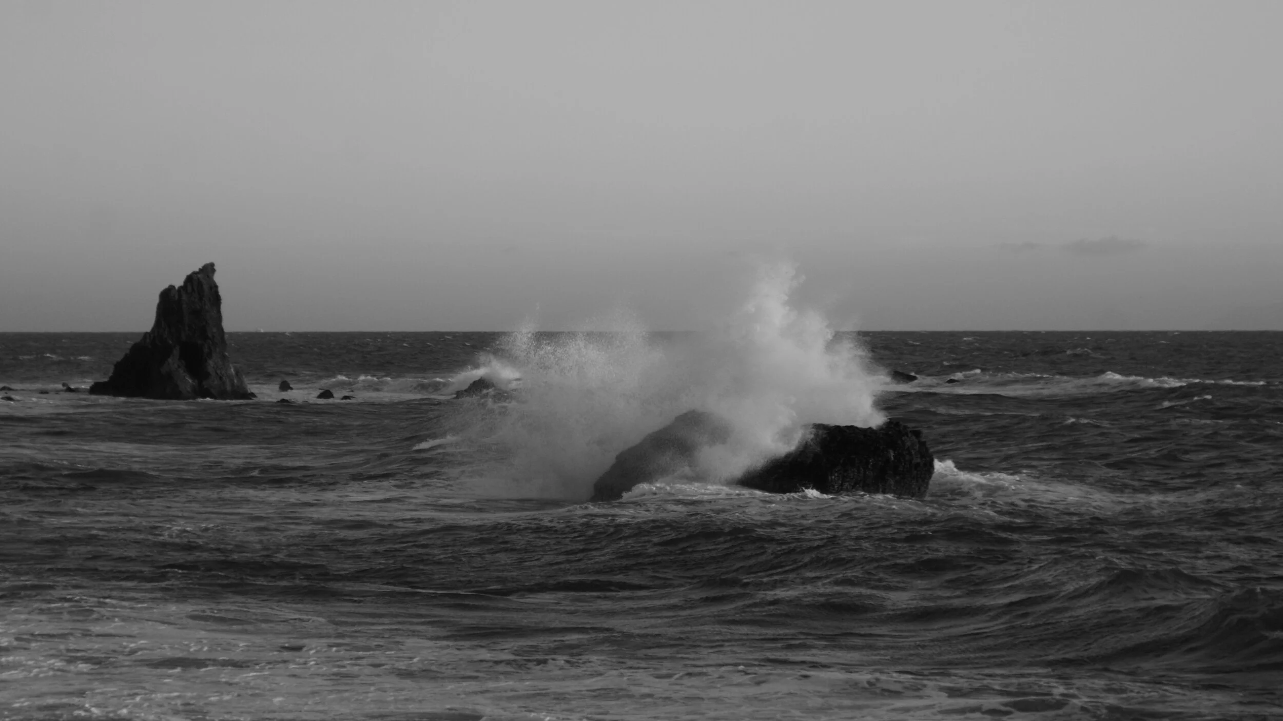 DSC02092.JPG