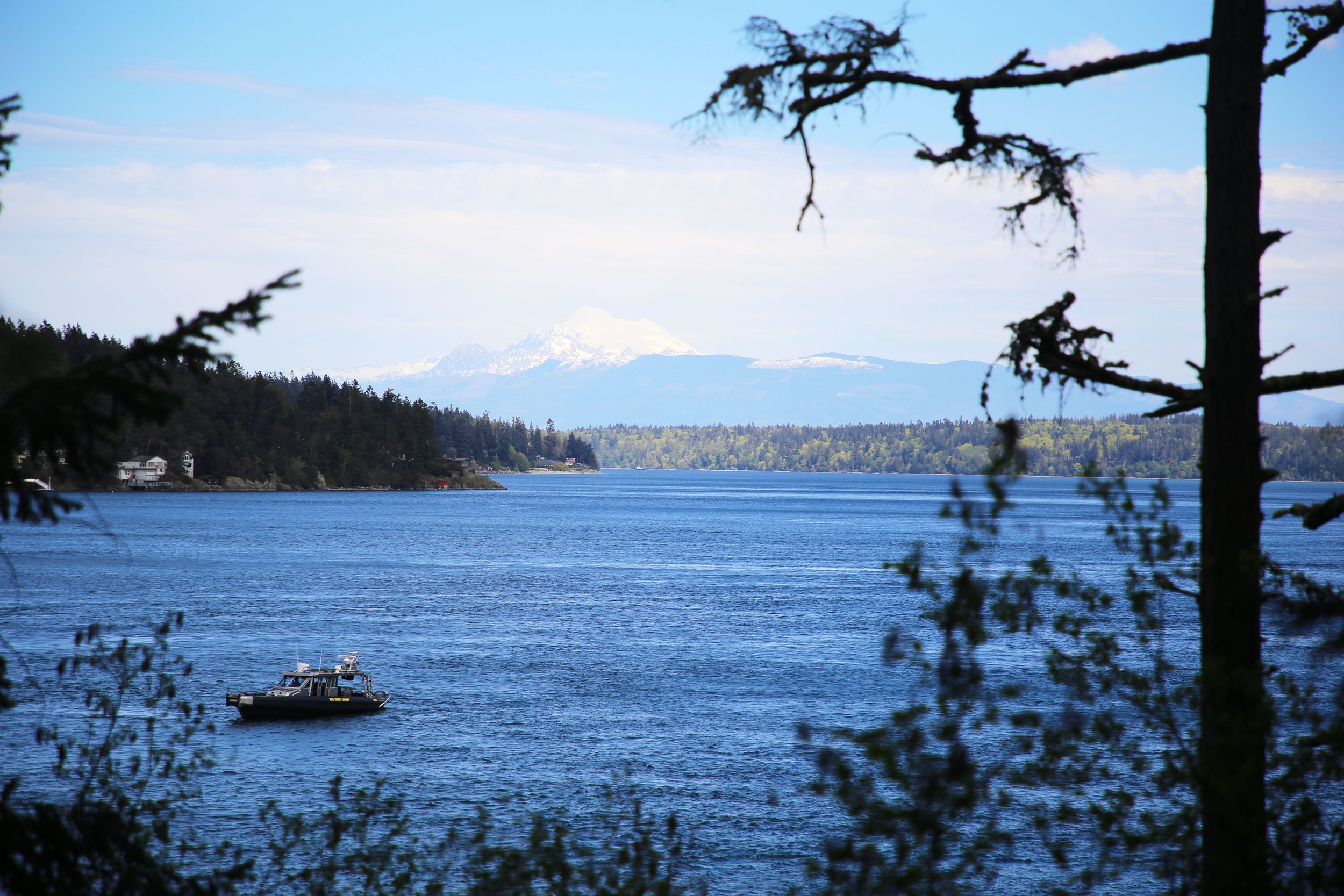 IMG_2124.JPG