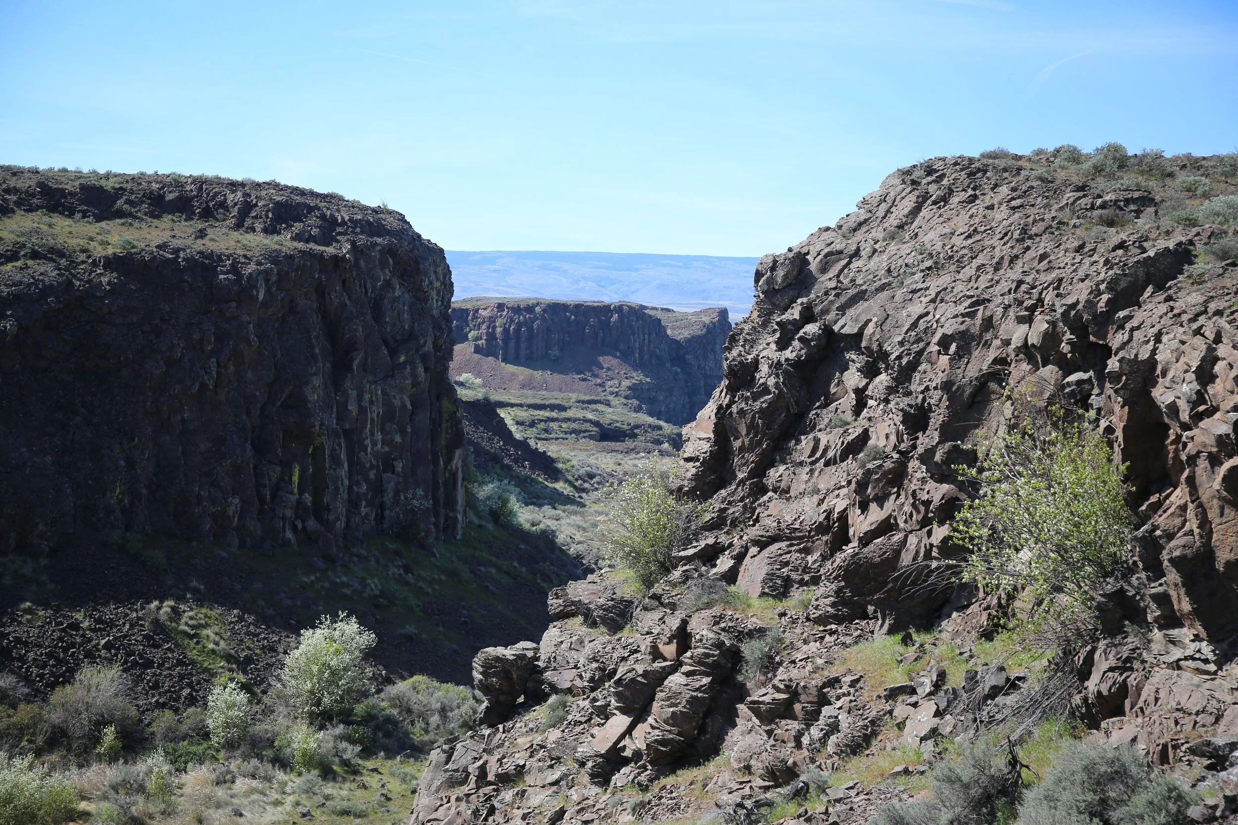 Out/Back: Dusty Lake Trail to Ancient Lakes &nbsp;