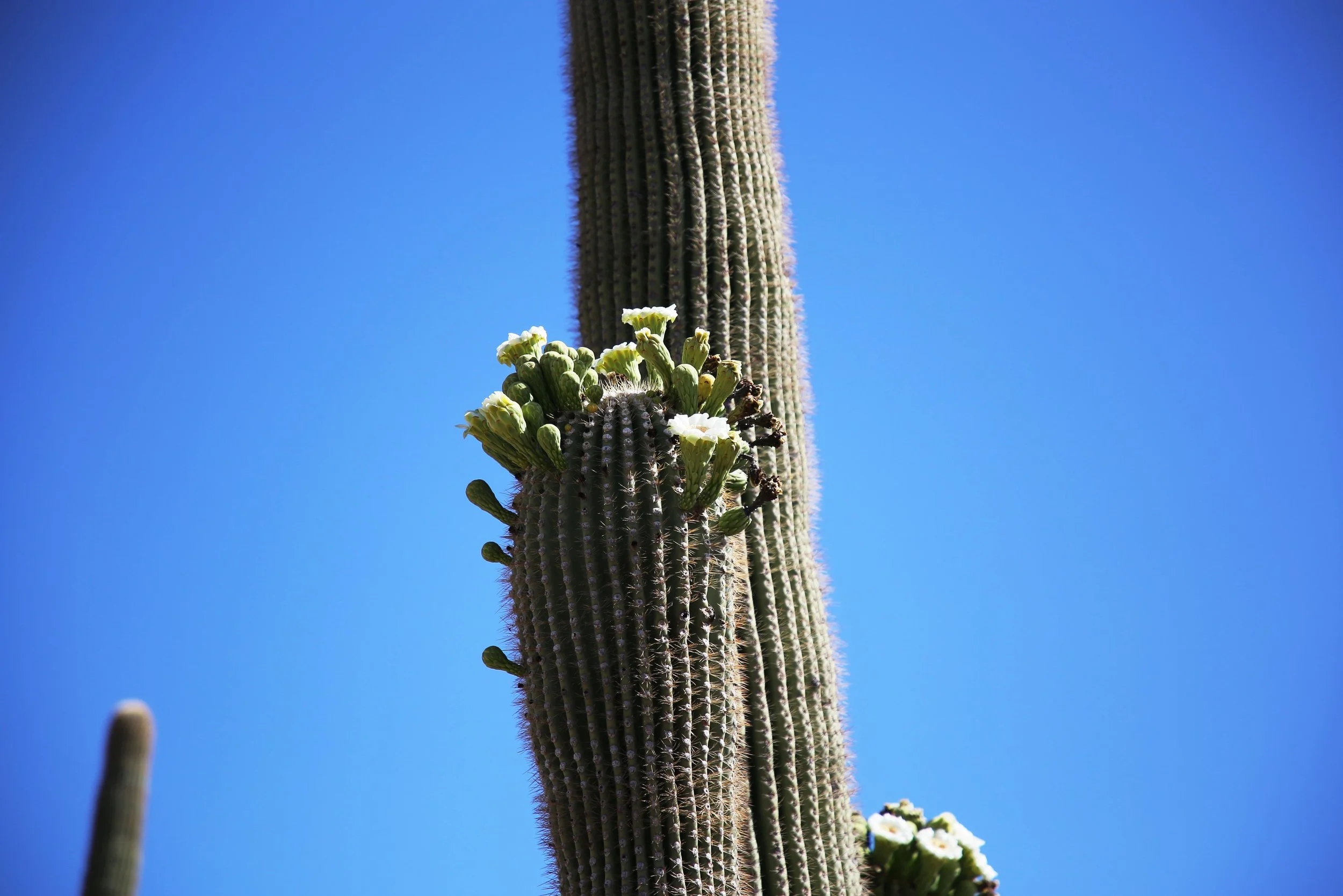 IMG_2760.JPG