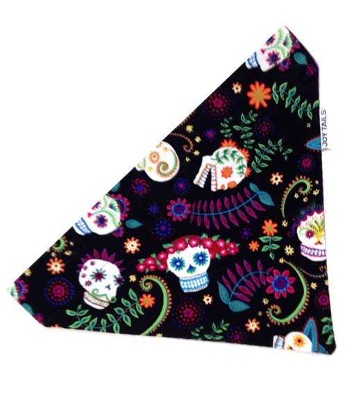 Skulls_Main_Front.png