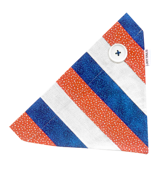 Bronco_Front.png