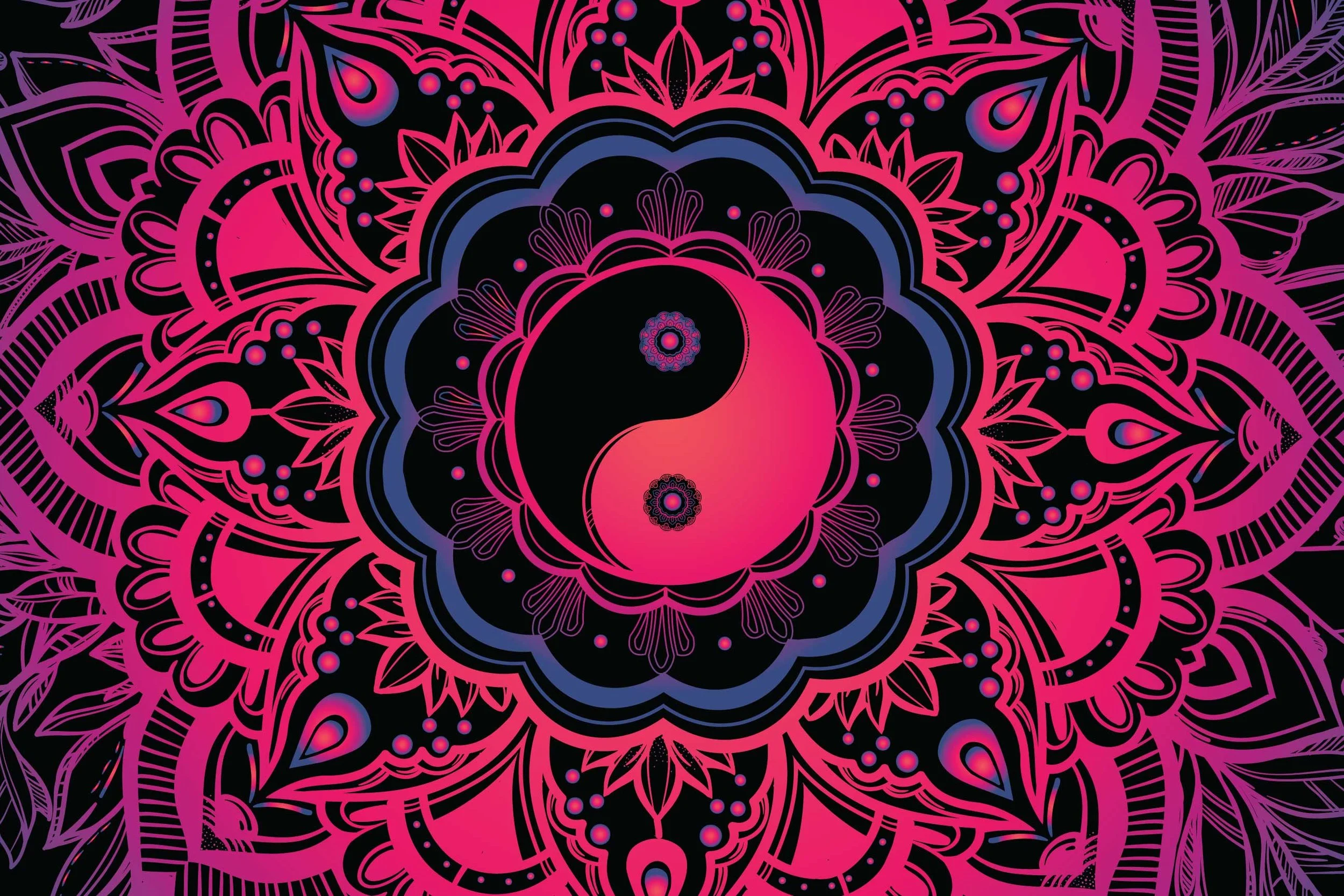 YYM-12x18.jpg