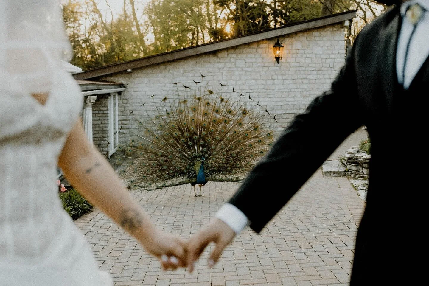 We traveled by time machine to get to this wedding. 

#ronirosephotography #alternativewedding #rocknrollwedding #vintage #create #weddingphotography #wedding #uniqueweddingphotography #illinoisphotographer #filmlives #illinoisweddingphotography #lov