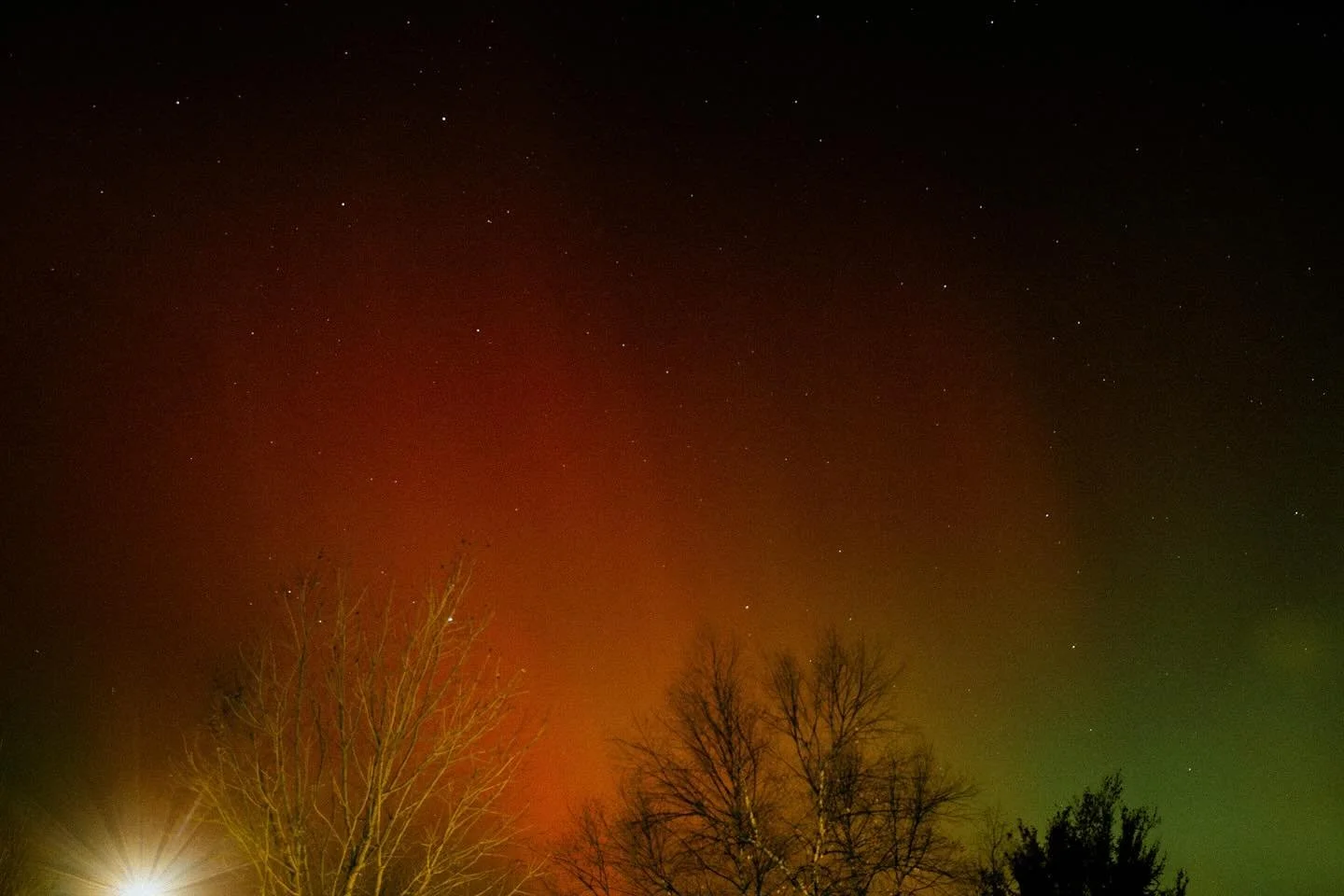Lights. Colors.

#ronirosephotography #alternativewedding #rocknrollwedding #vintage #create #weddingphotography #wedding #uniqueweddingphotography #illinoisphotographer #filmlives #illinoisweddingphotography #love #engaged #loveislove #chicagobrides