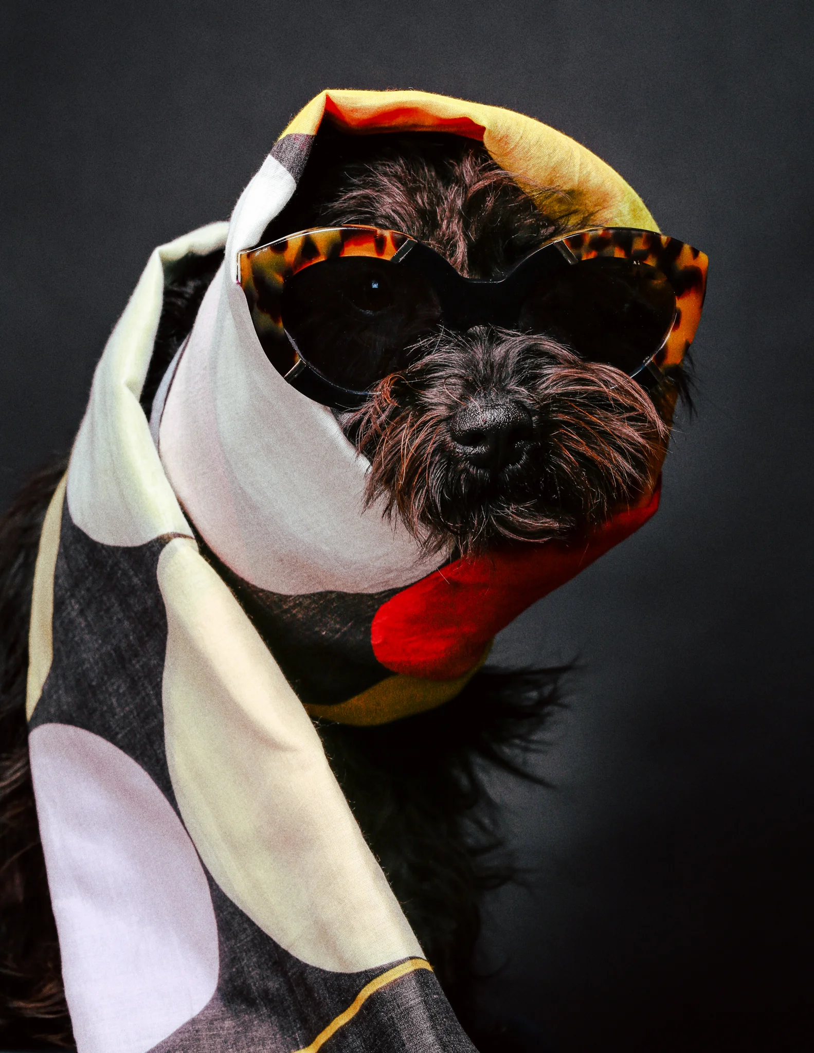 scarf - Paul Smith / sunglasses - Karen Walker