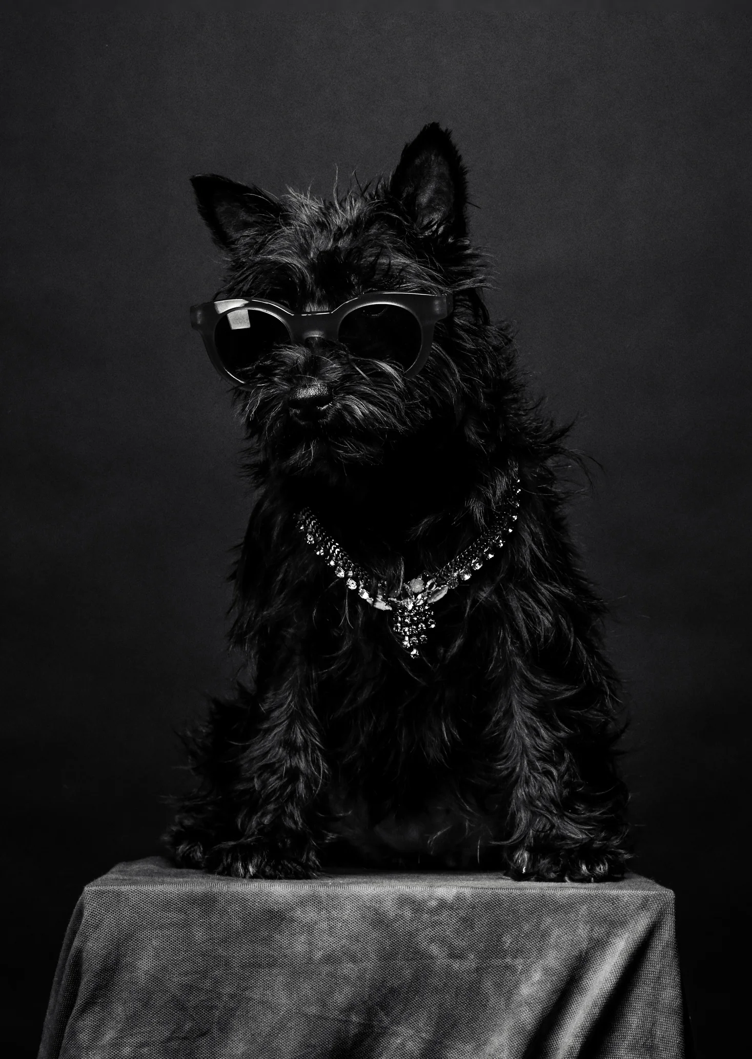 sunglasses - Sun Buddies \ necklace - Rada