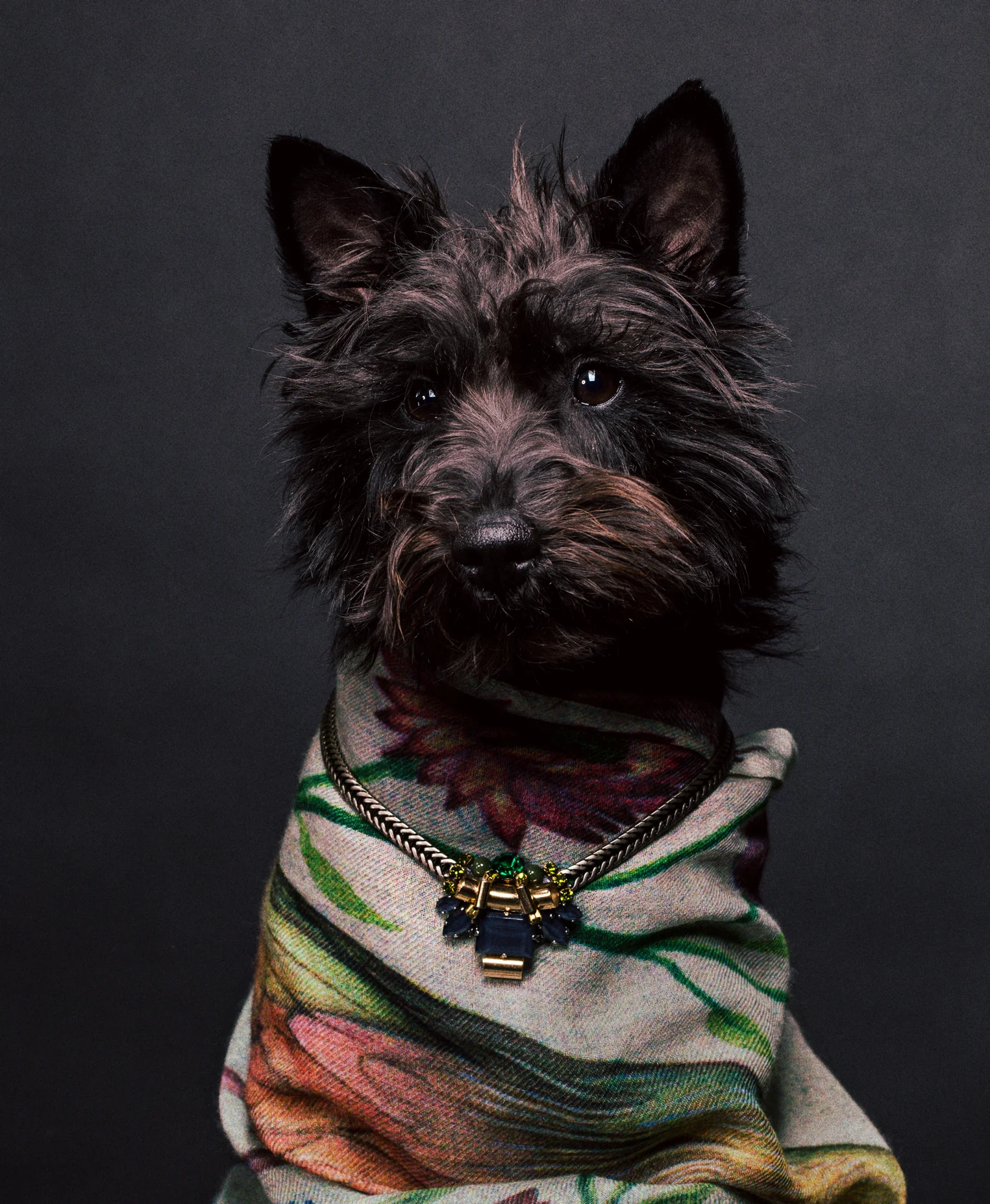 scarf - Paul Smith / necklace - Rada
