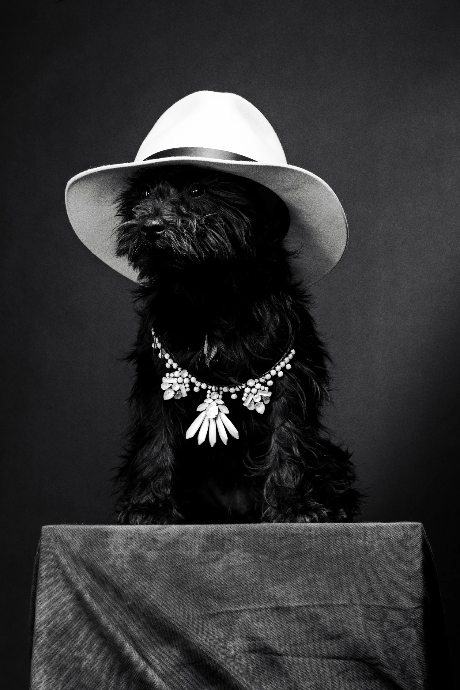hat - Rag & Bone \ necklace - Rada