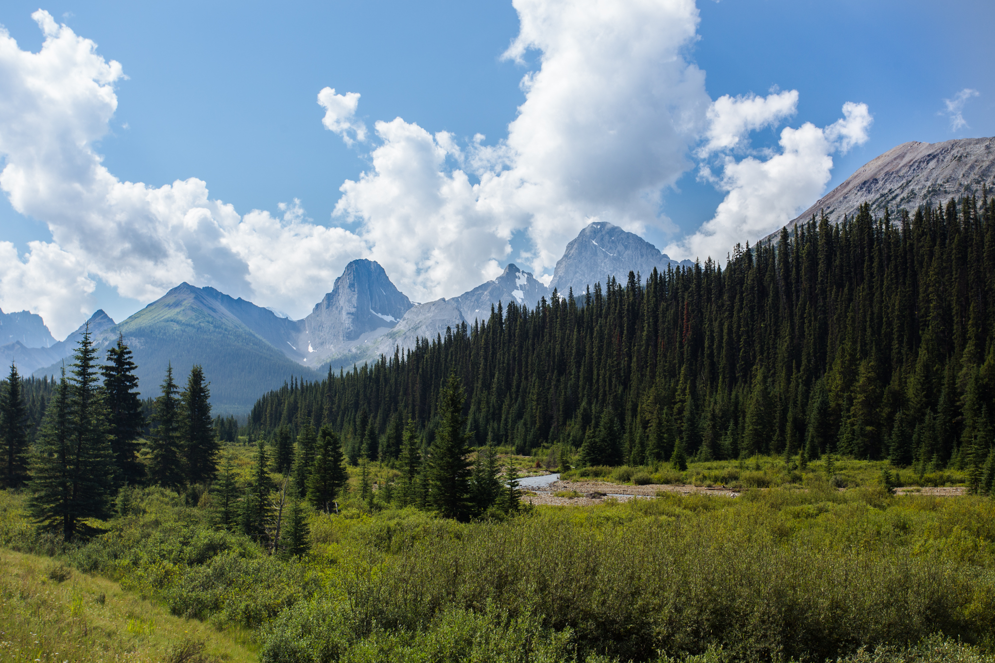 At the base of the trailhead for Tent Ridge.