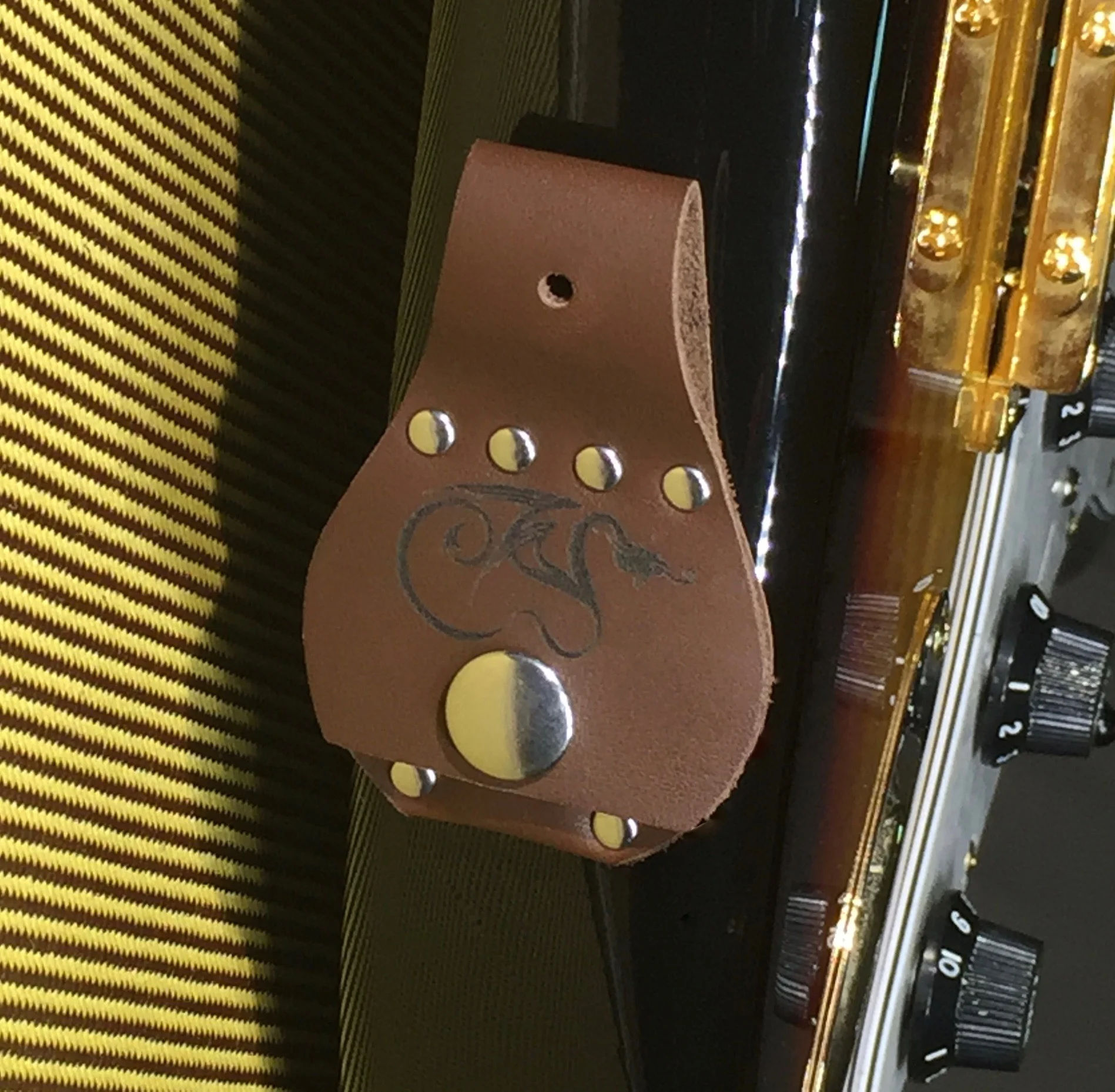 StrapButton Mounted Guitar Pick Holder Dragon's Heart Guitar Picks