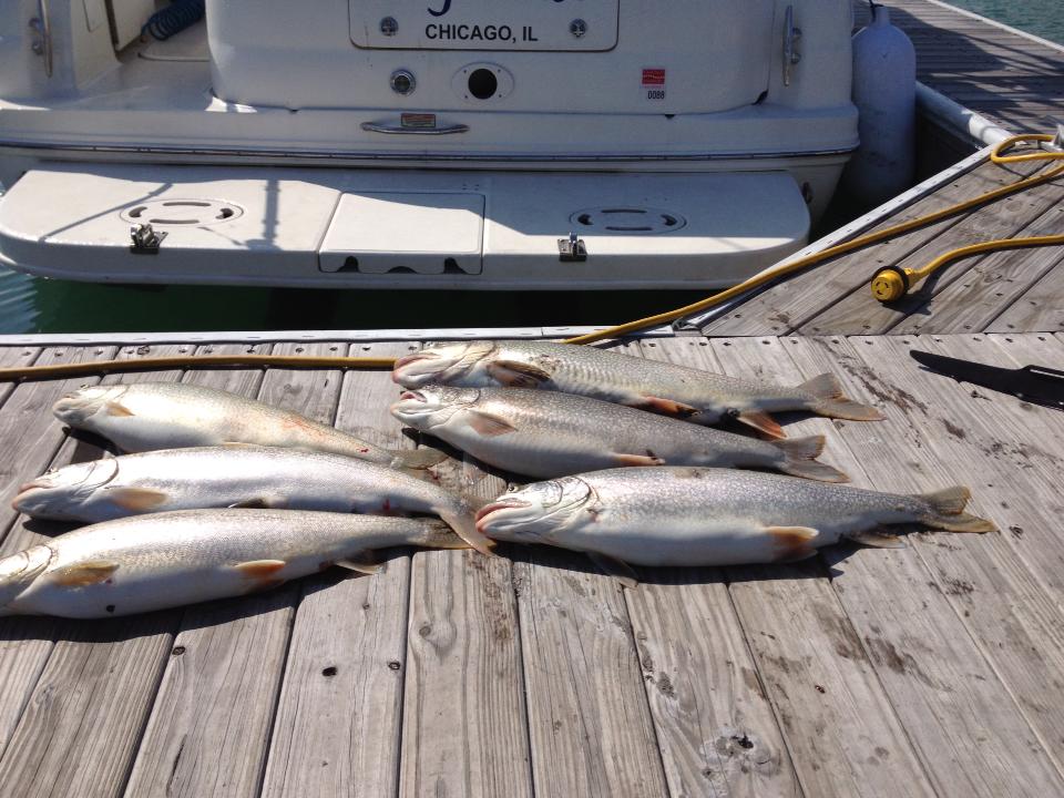 Chicago Trout Fishing