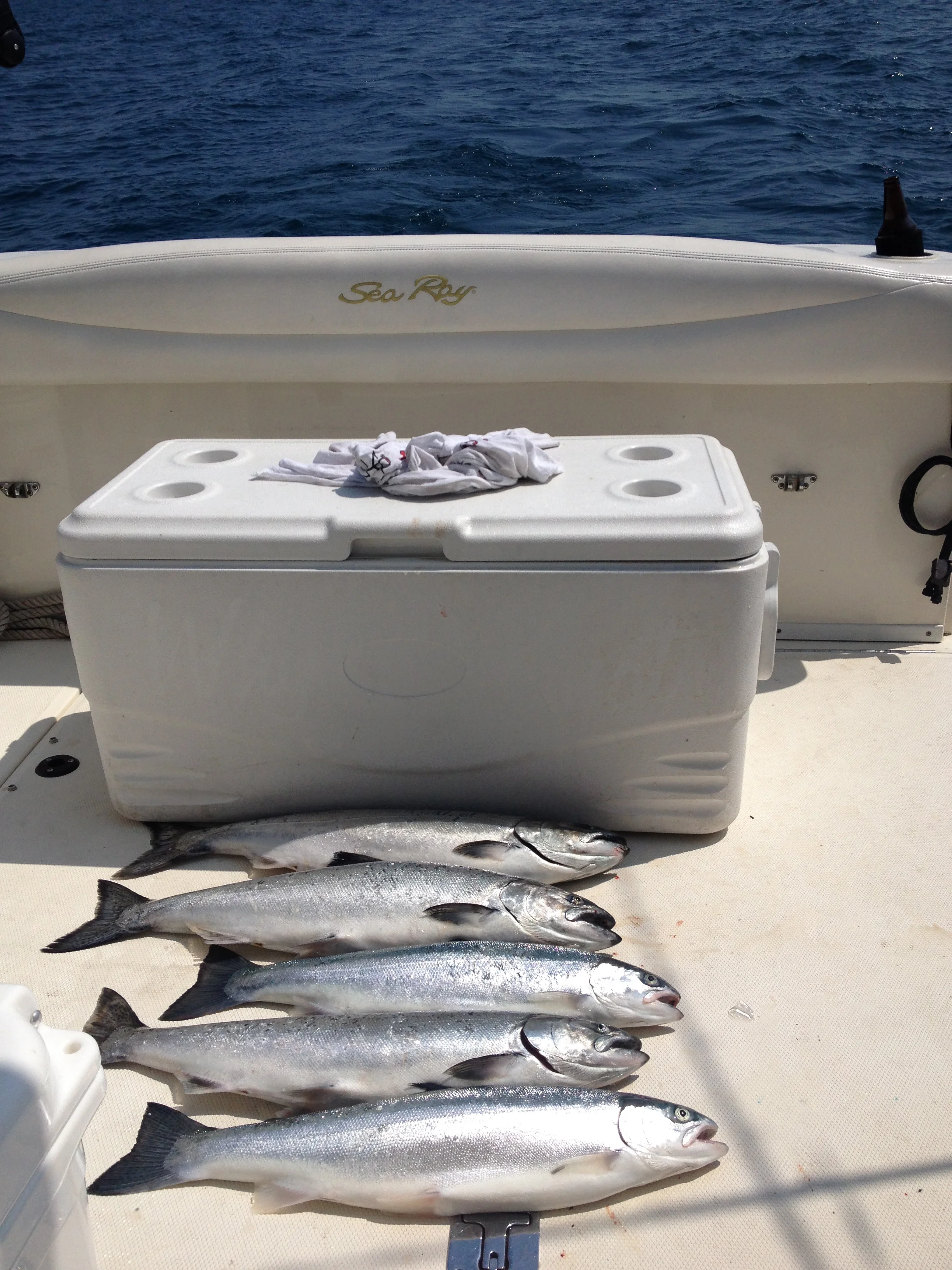 Salmon and Trout Fishing