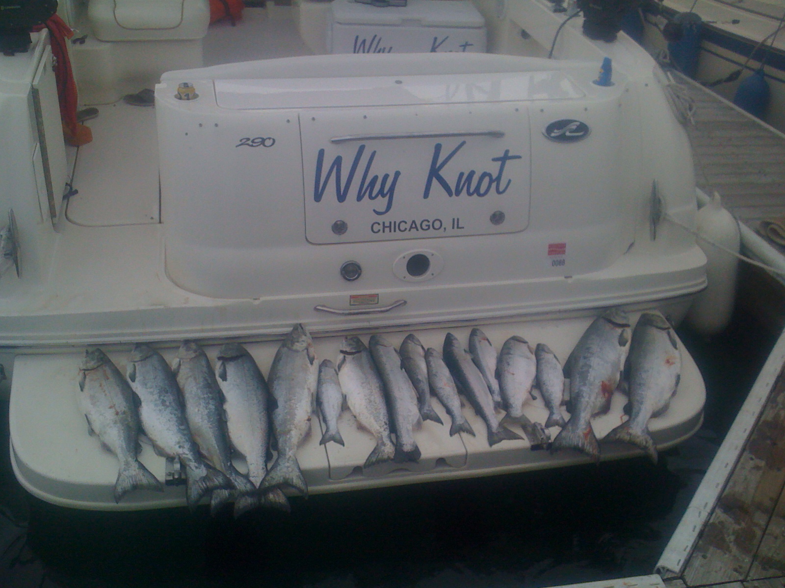 Hot 2012 King Salmon Fishing