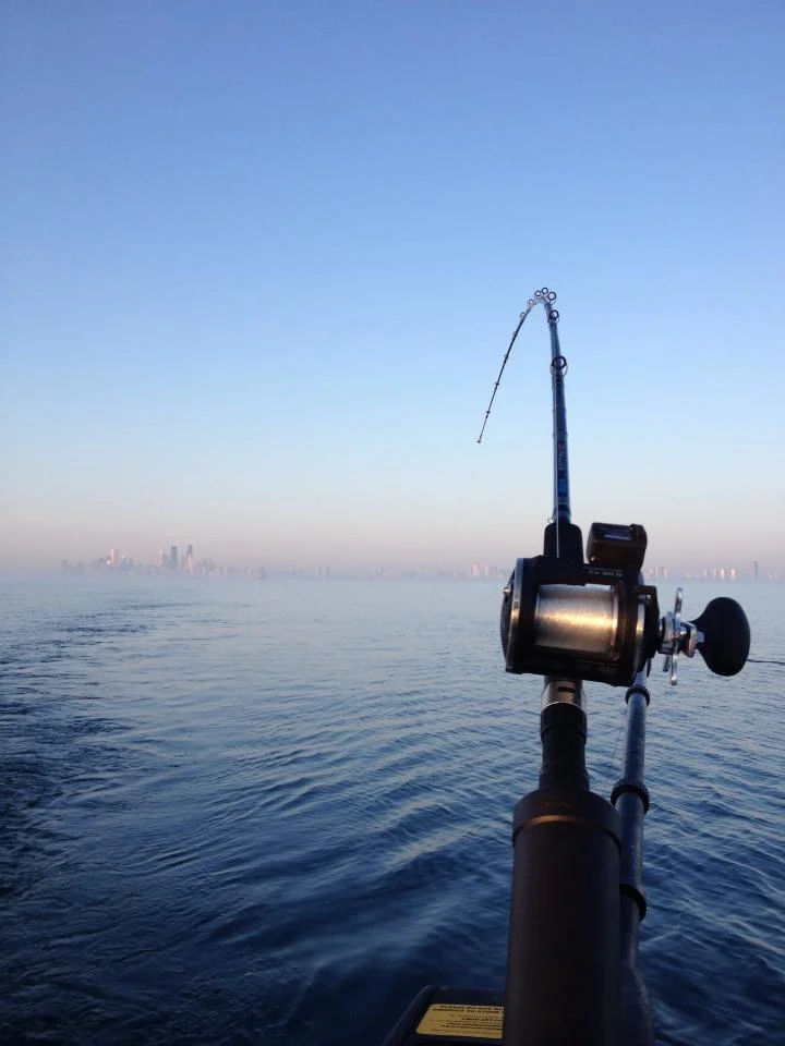 Atlantic Salmon in Lake Ontario
