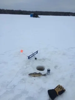 A little cold won't keep us from fishing!