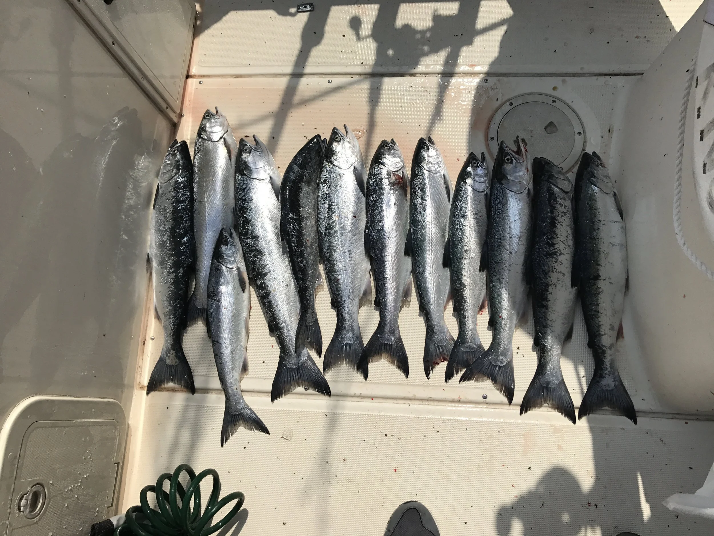 Mission Accomplished 