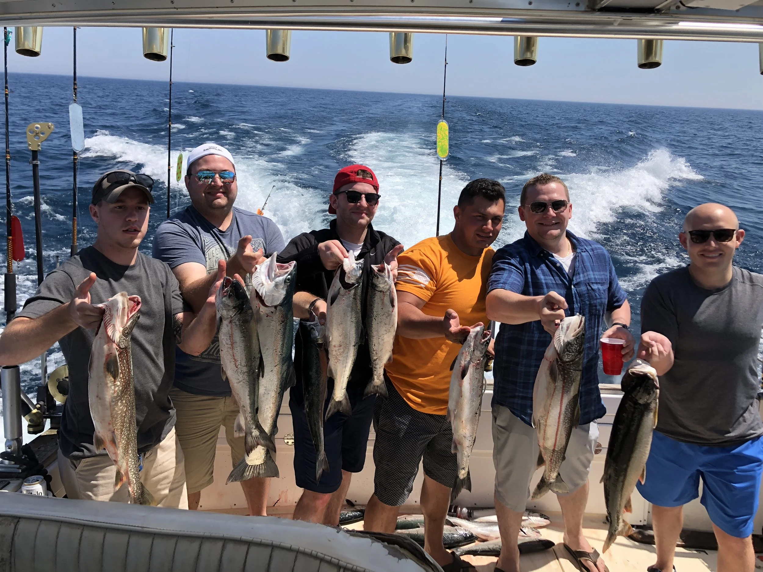 Salmon are fattening up!