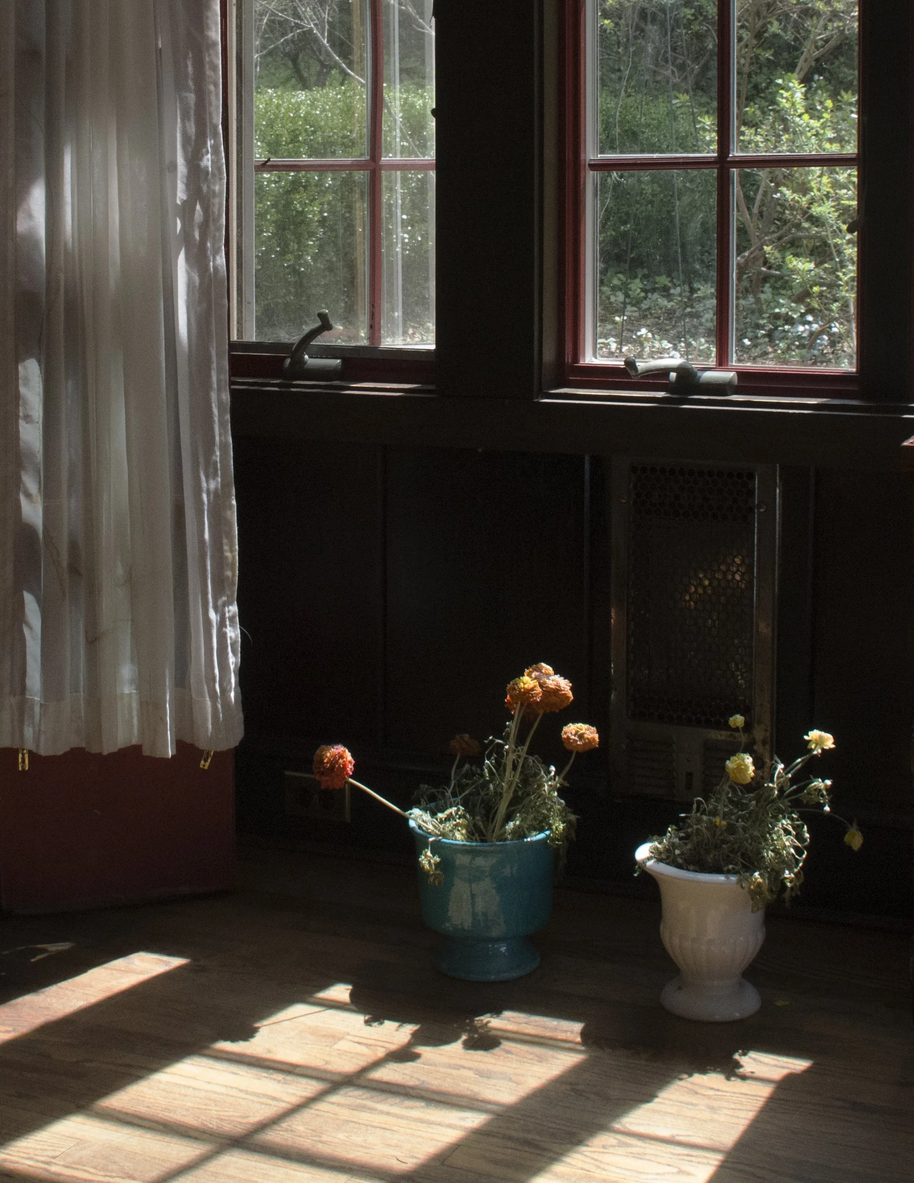 Kristin-Kempa-floral-window.jpg