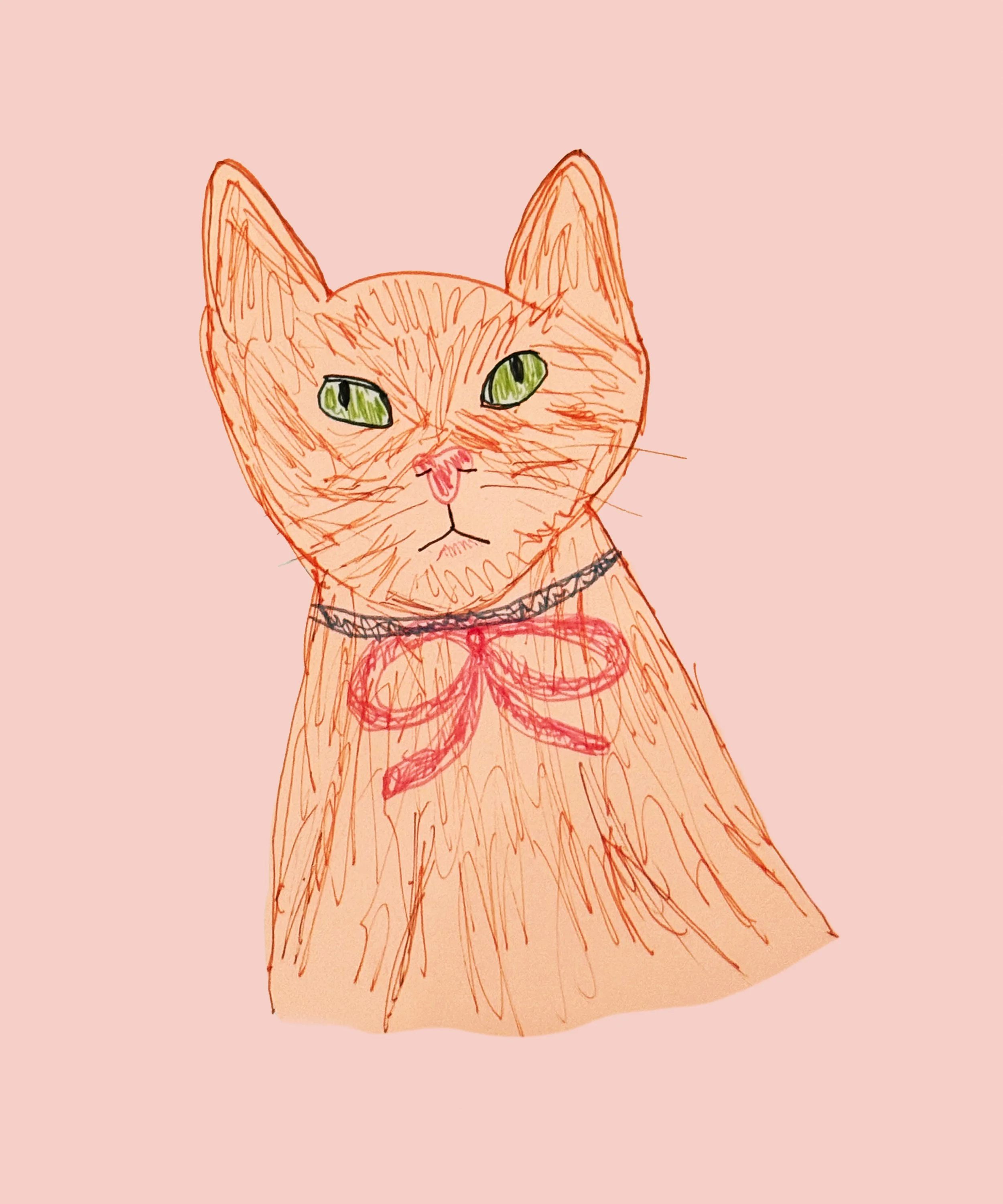Kristin-Kempa-cat.jpg