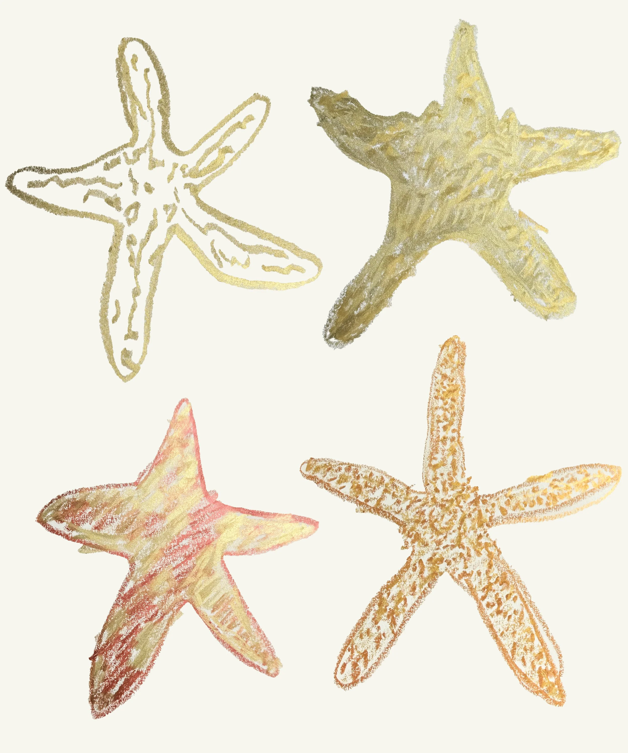 kristin-kempa-star-fish.jpg