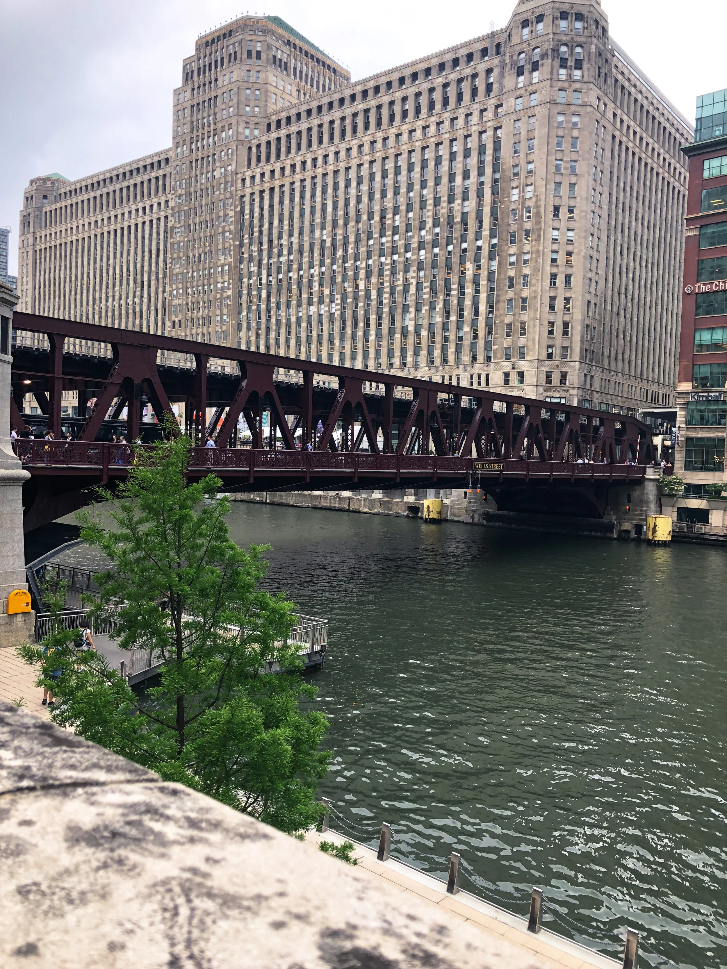 cohen_merchandisemart.jpg