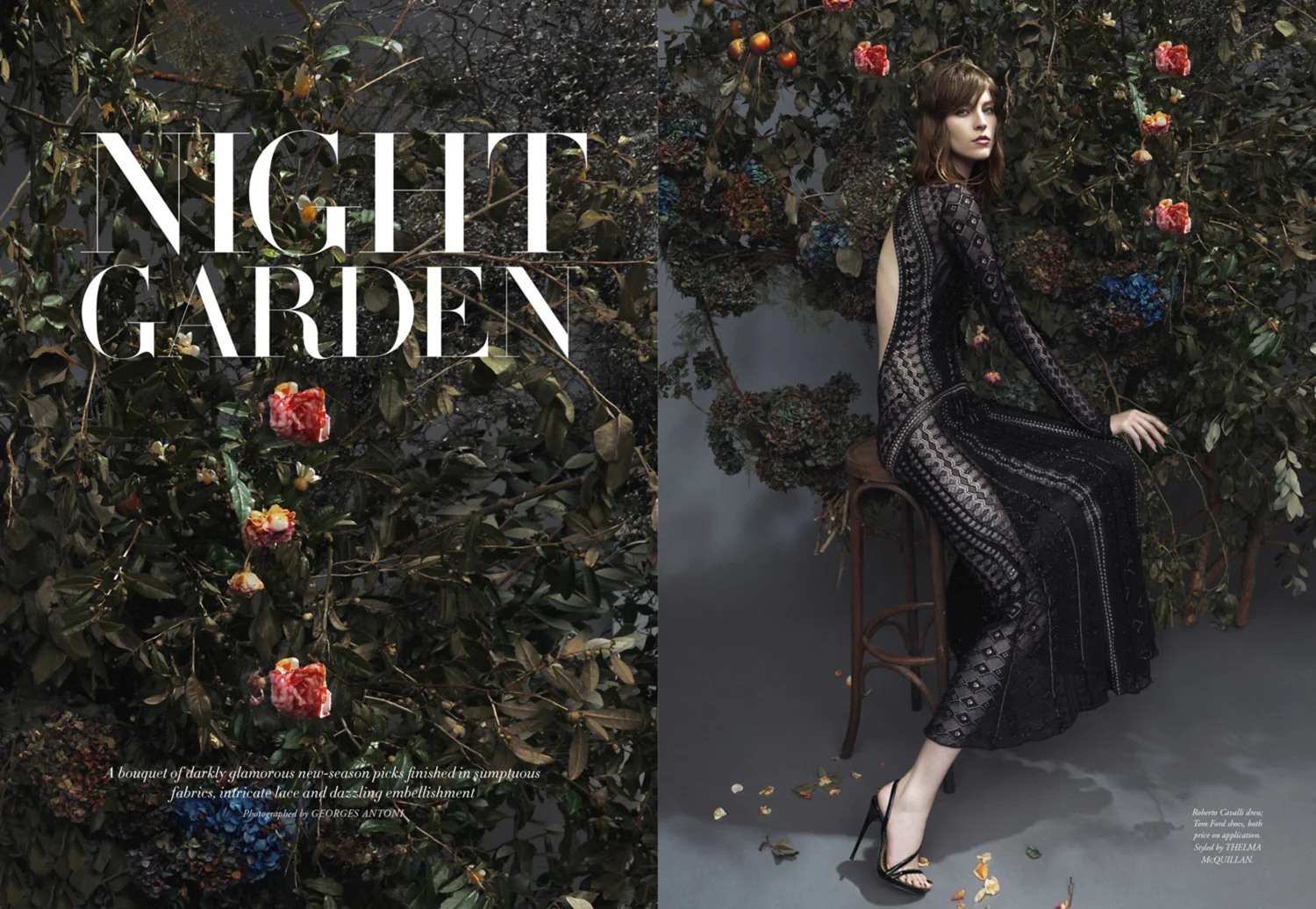 HB0614-Night-Garden-1.jpg