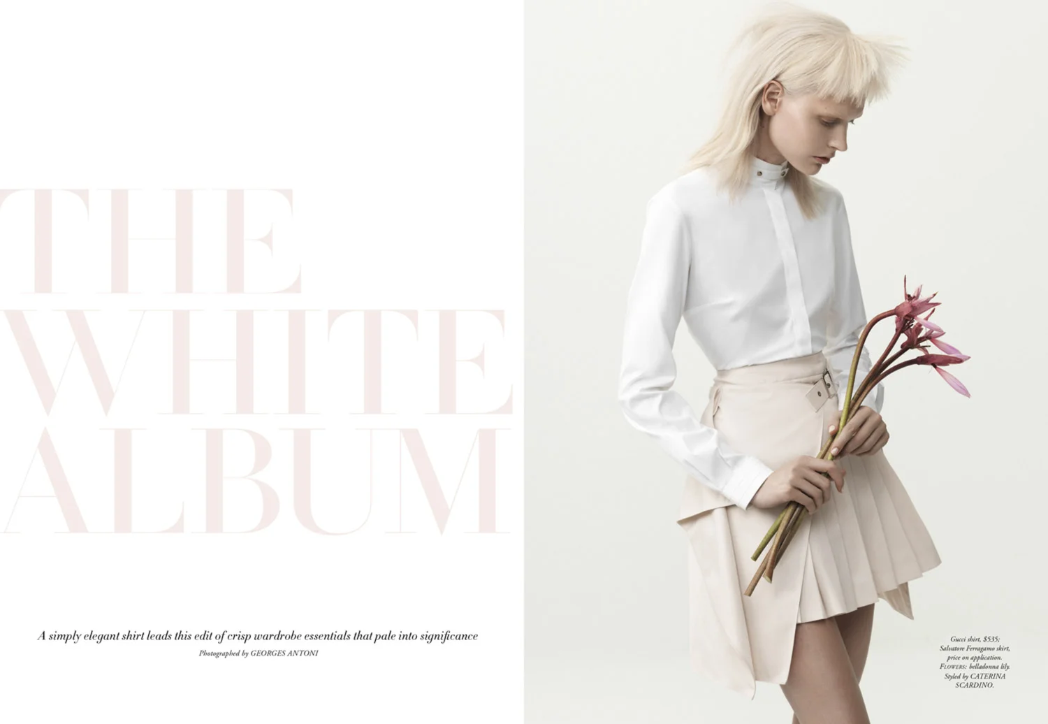 White-story-copy-1.jpg