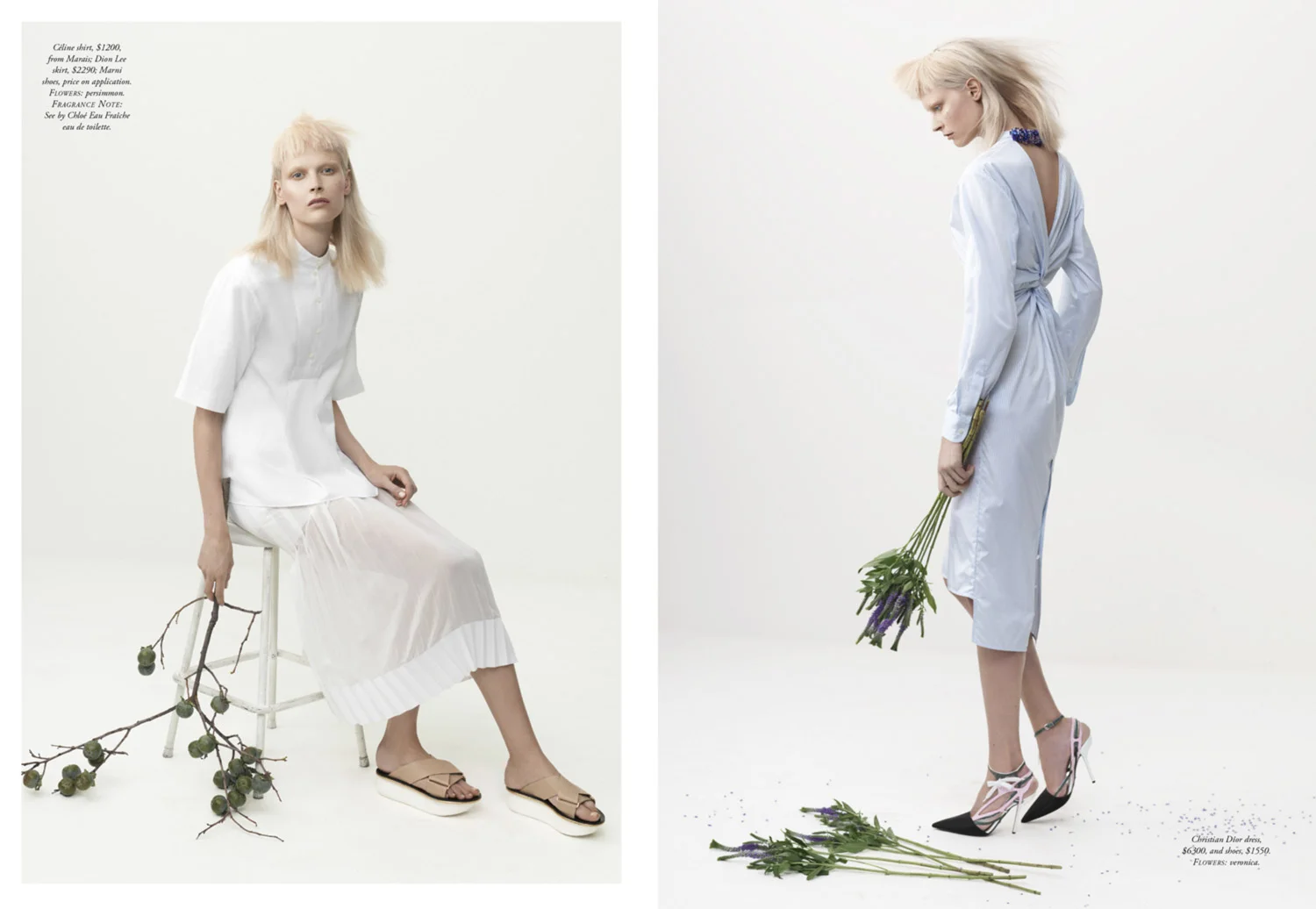 White-story-copy-3.jpg