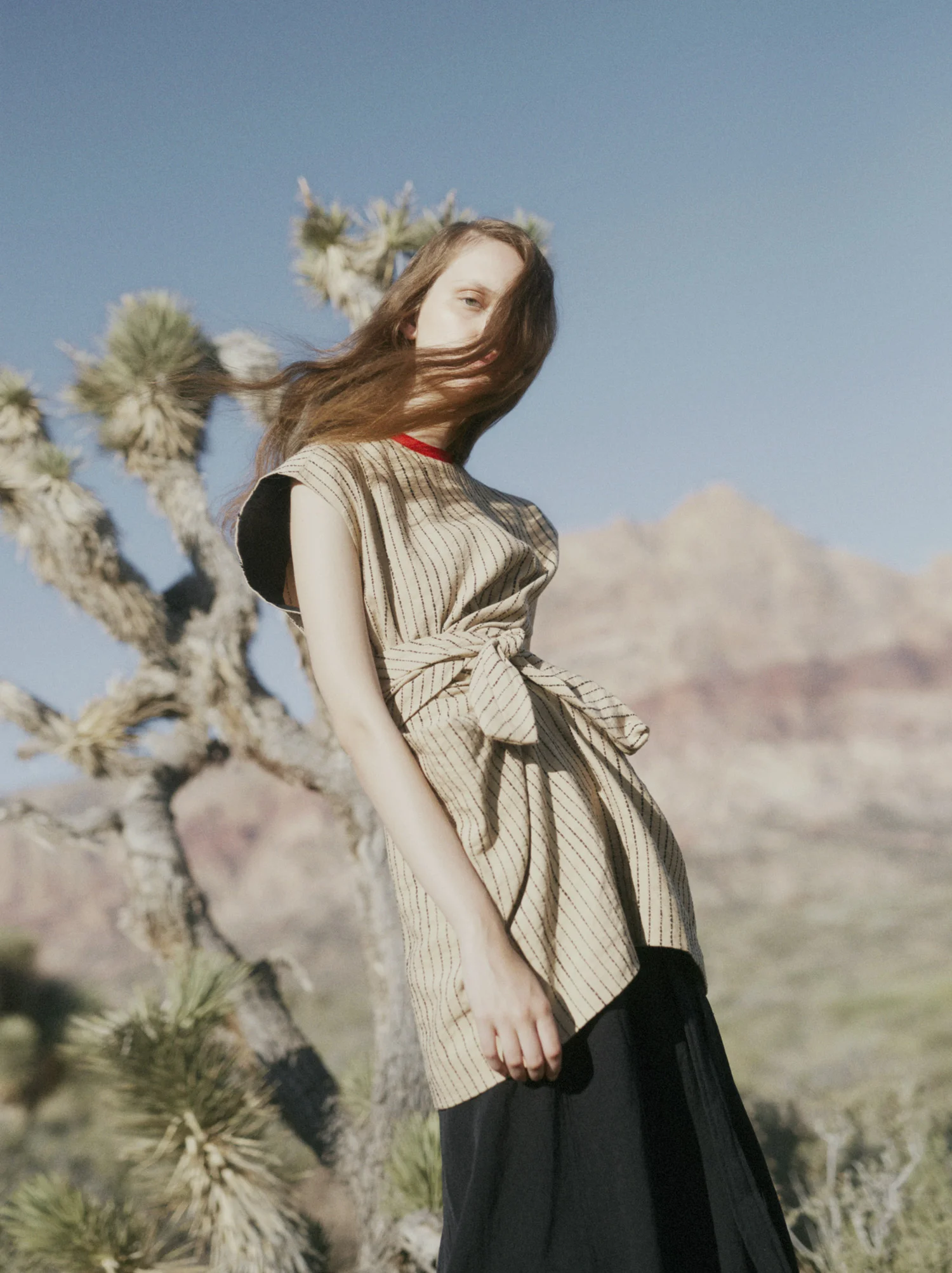 MC-Desert-21.jpg