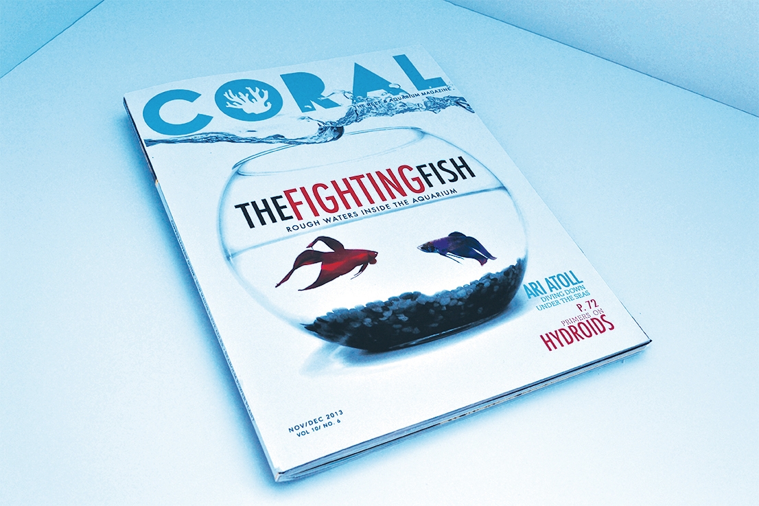 Coral Magazine