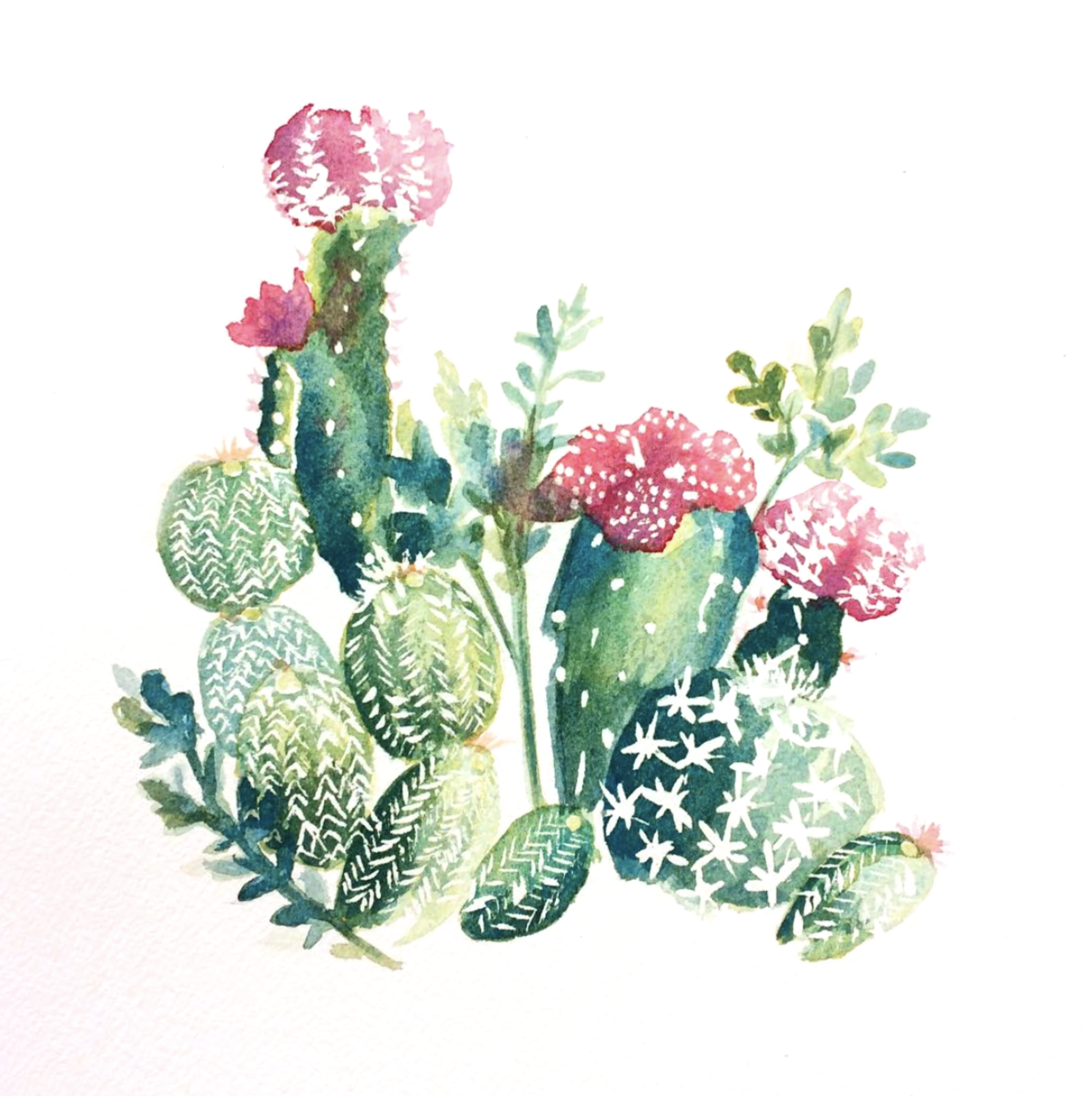 Cactus Watercolor