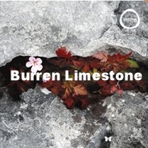 Burren Limestone