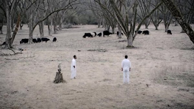 Sundance, Rectify