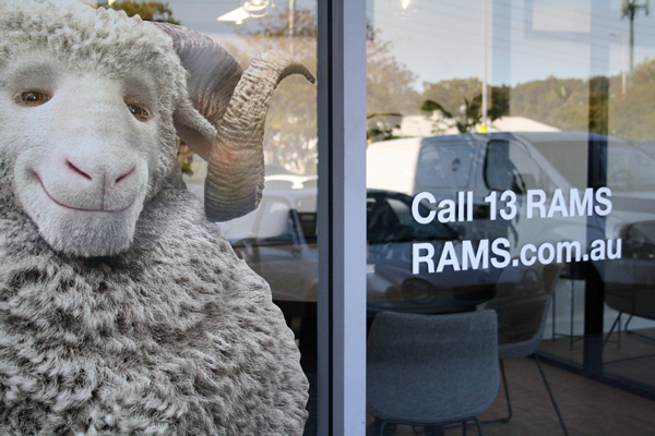 Office Rams sml.jpg
