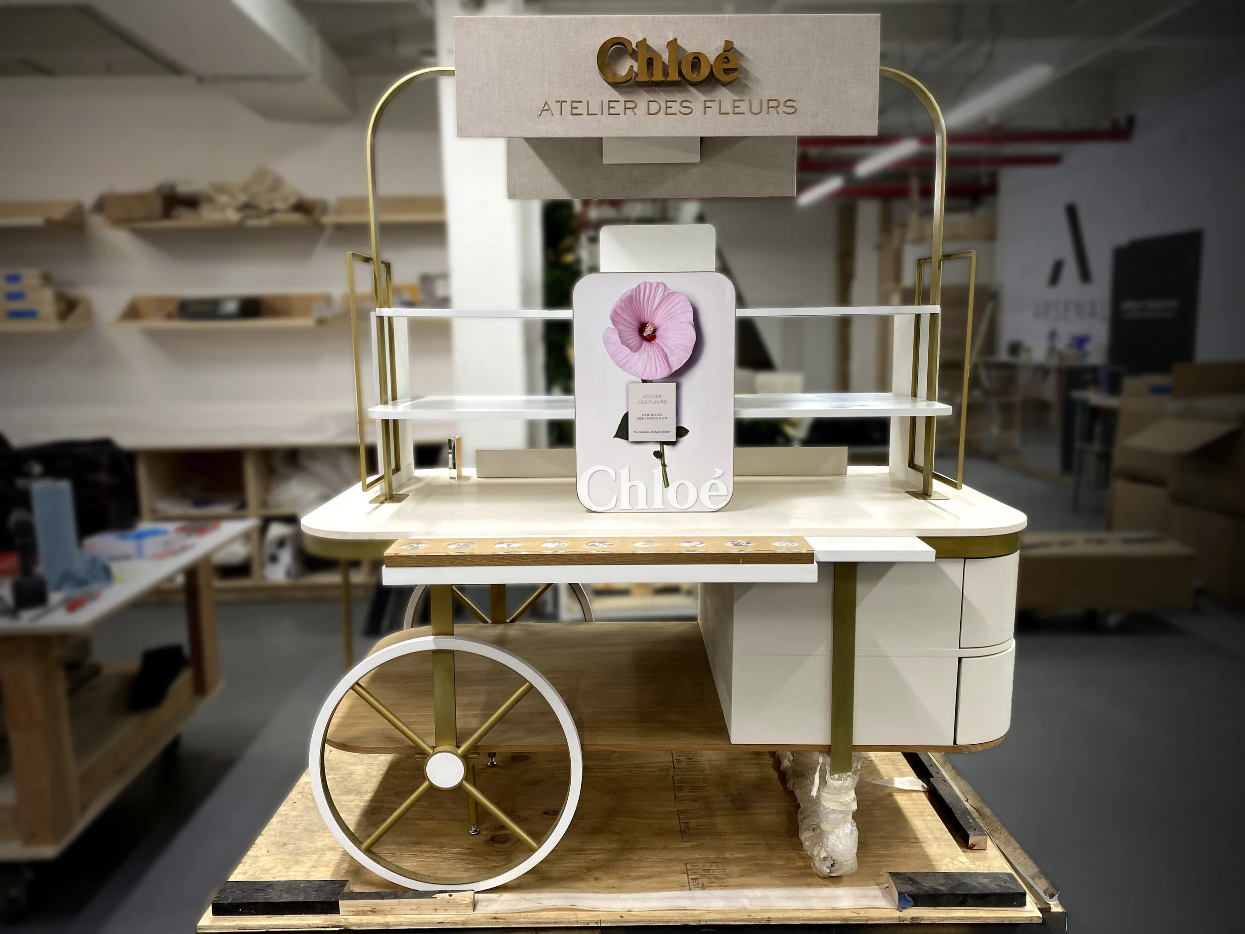 Chloe Cart3.jpg