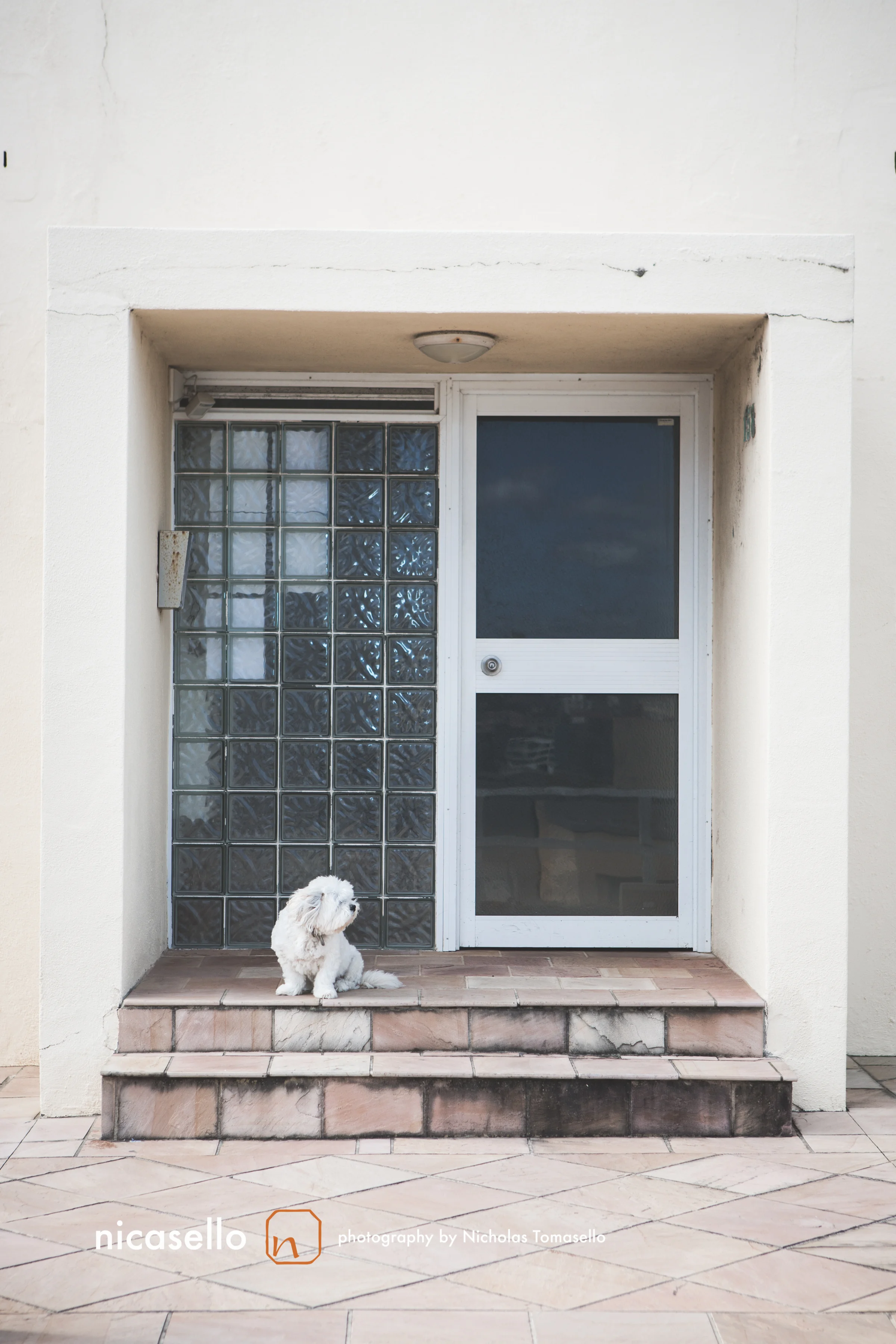 HMI_AUSSI-BONDI0030.jpg