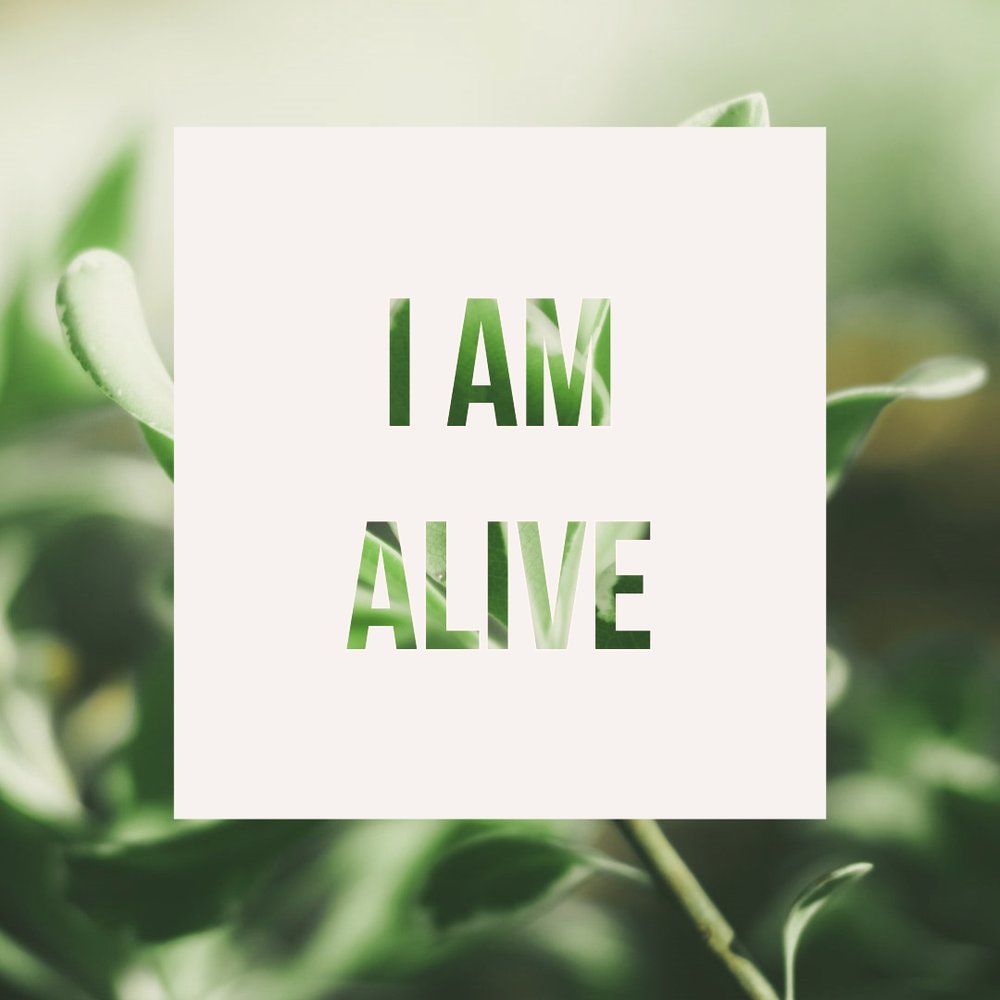 I Am Alive — Grace Baptist Church