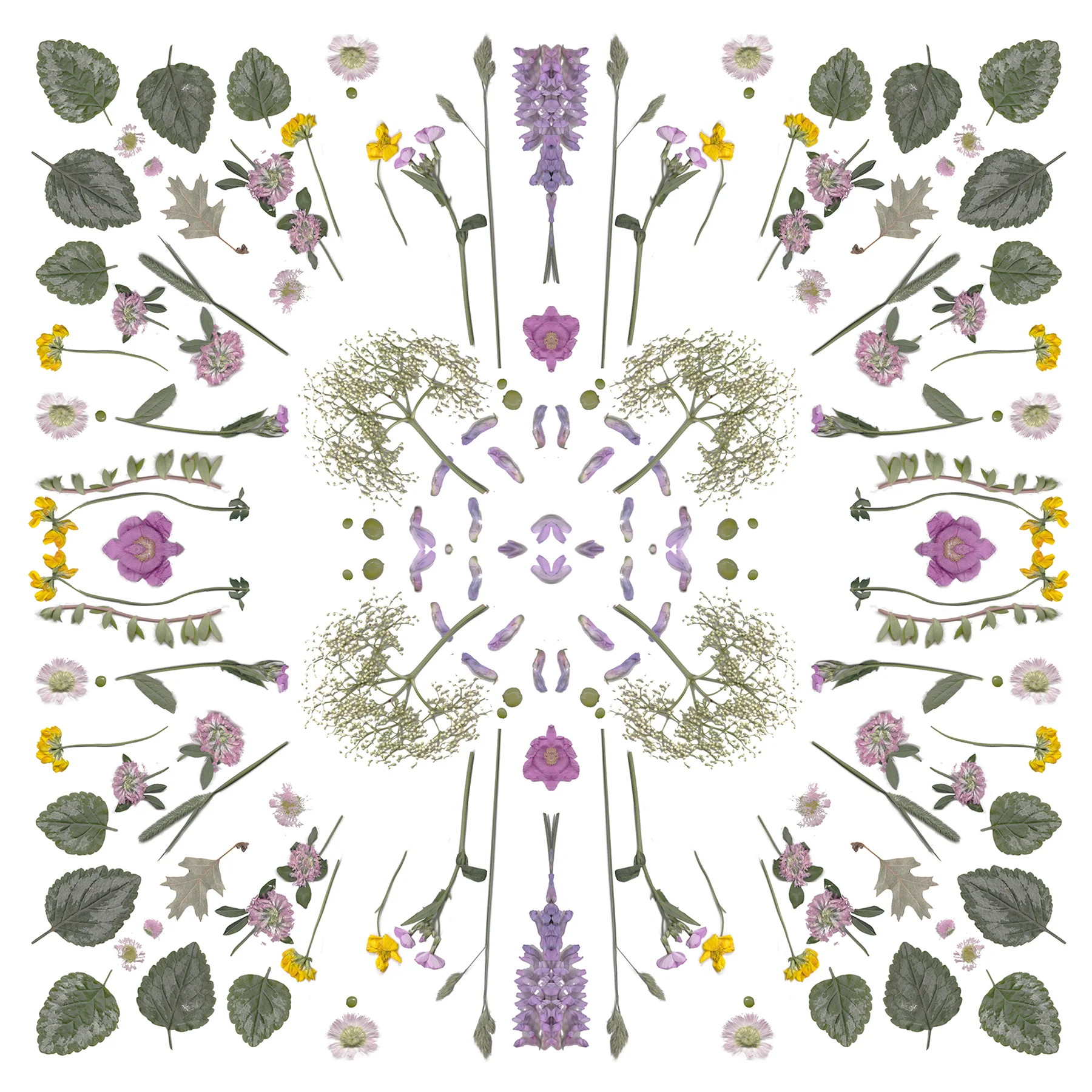 Flower Power Calica Studio scarf