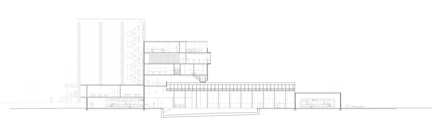SECTION-2.jpg