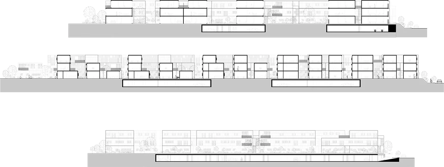 3-sections.jpg