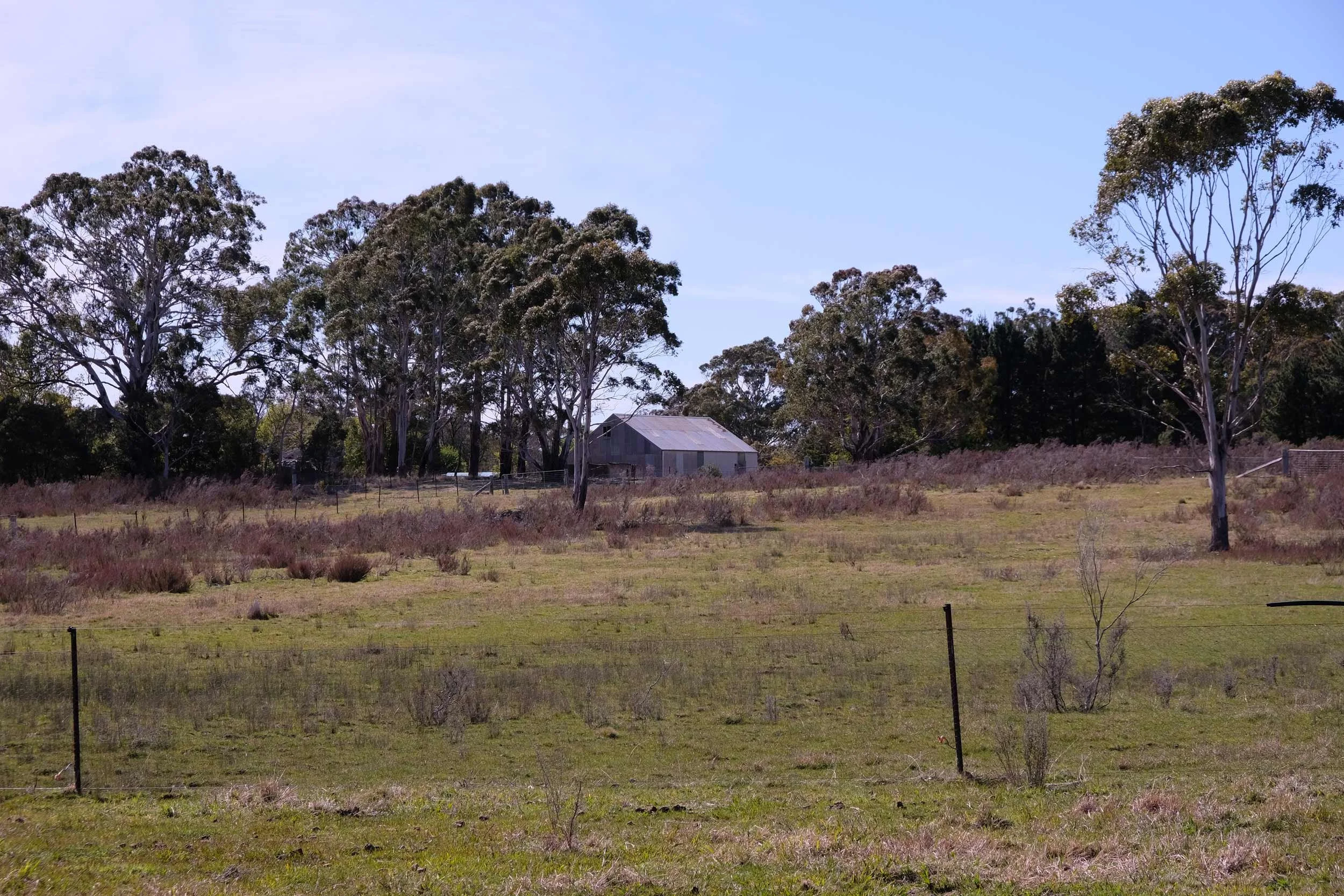 Eoghan.Lewis.Architects_Braidwood_Exist_2294.jpg